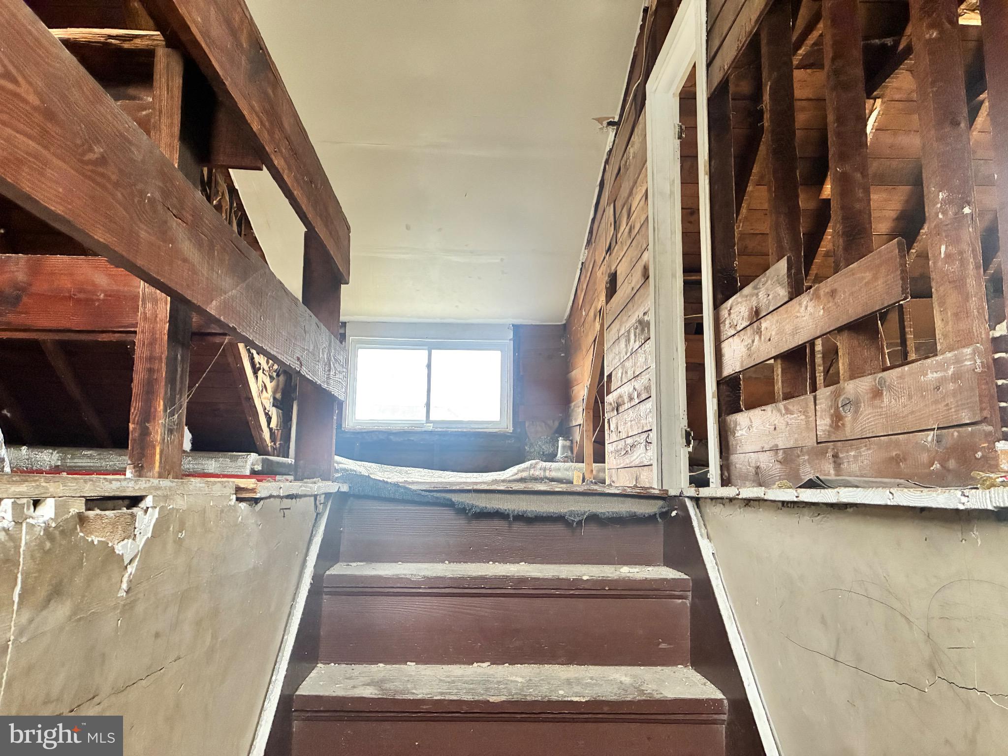 CENTRAL FOREST PARK - Residential