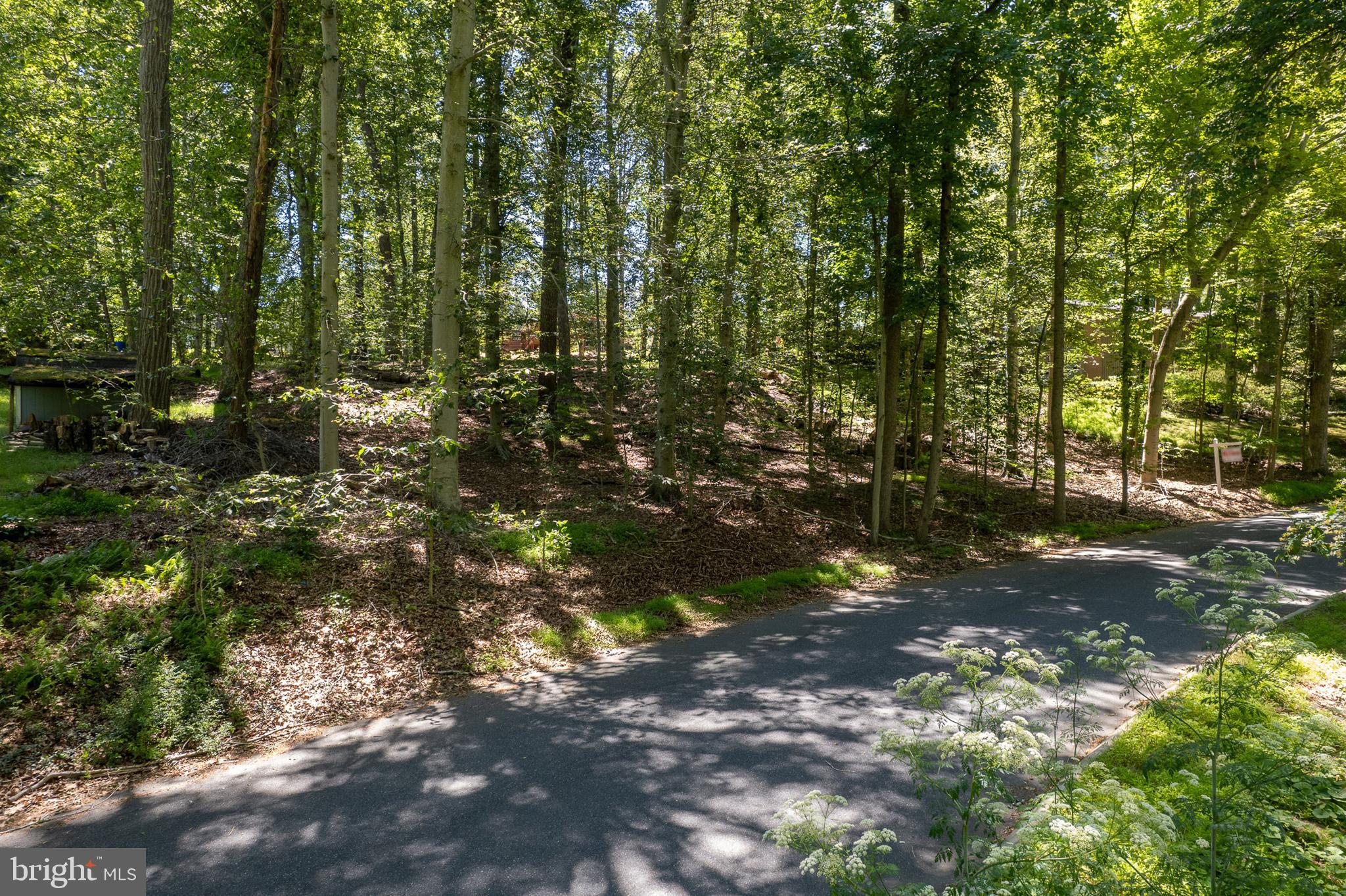 Lot 2 CAROLINA AVENUE
