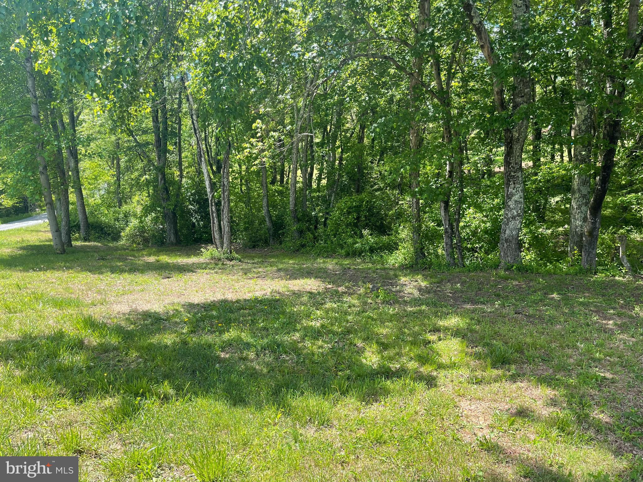 WHITE FAMILY DIVISION - Land