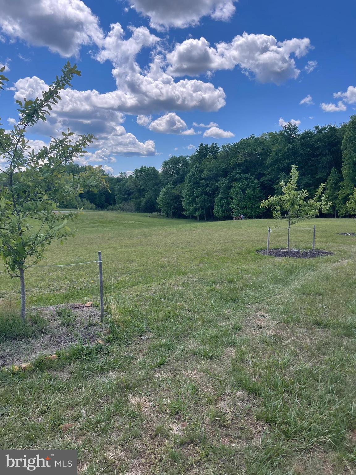 WHITE FAMILY DIVISION - Land