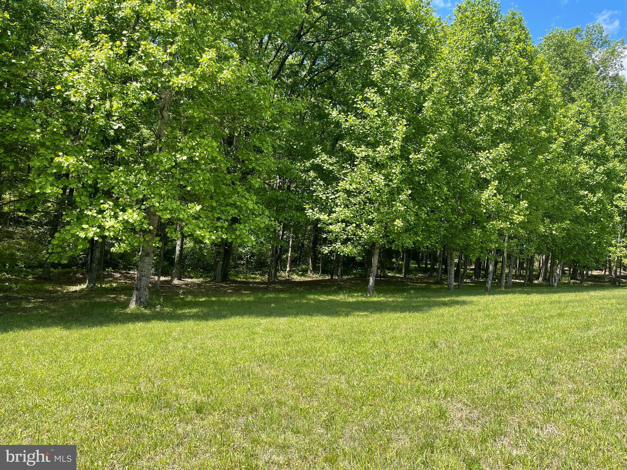 WHITE FAMILY DIVISION - Land