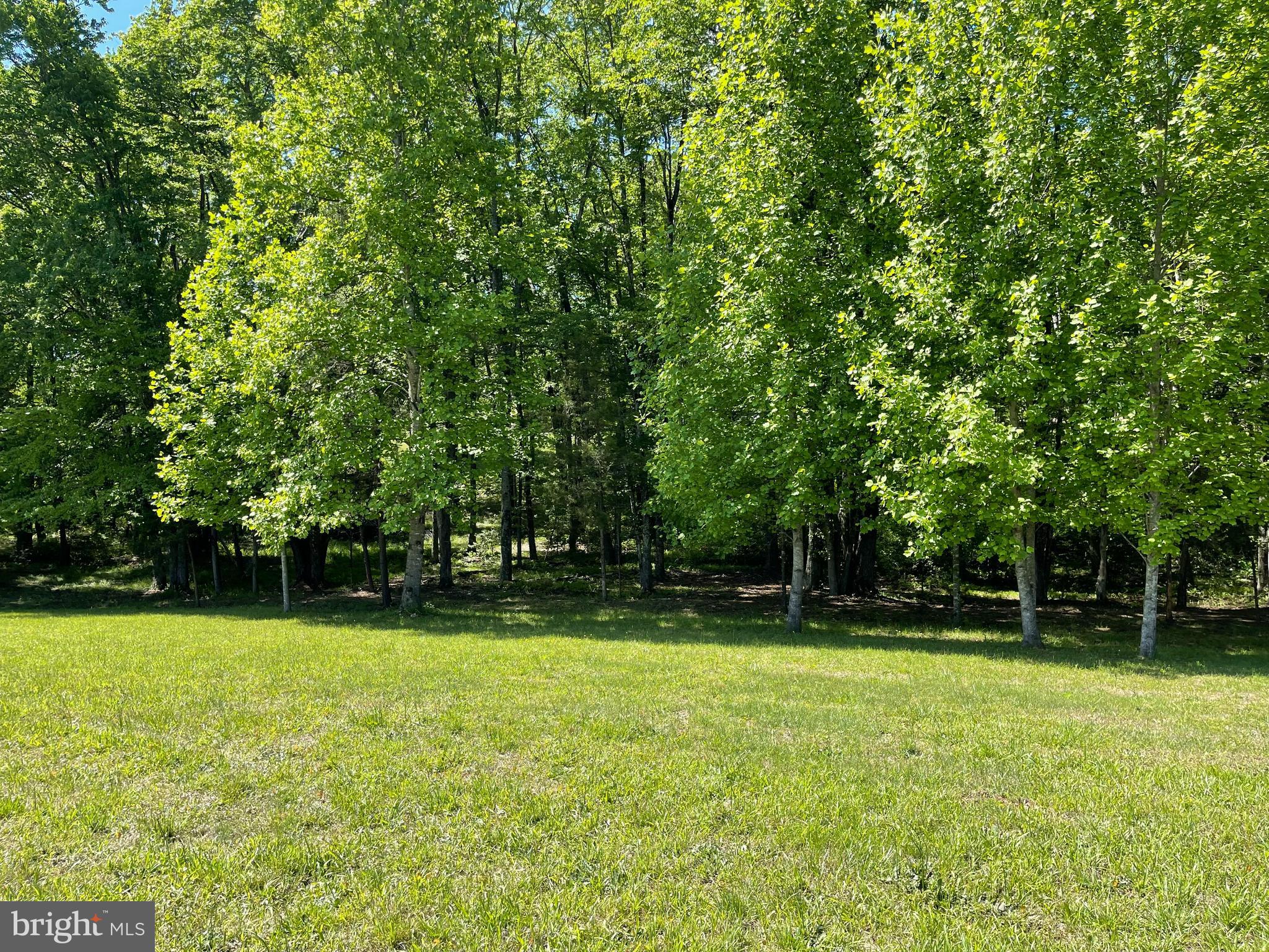 WHITE FAMILY DIVISION - Land