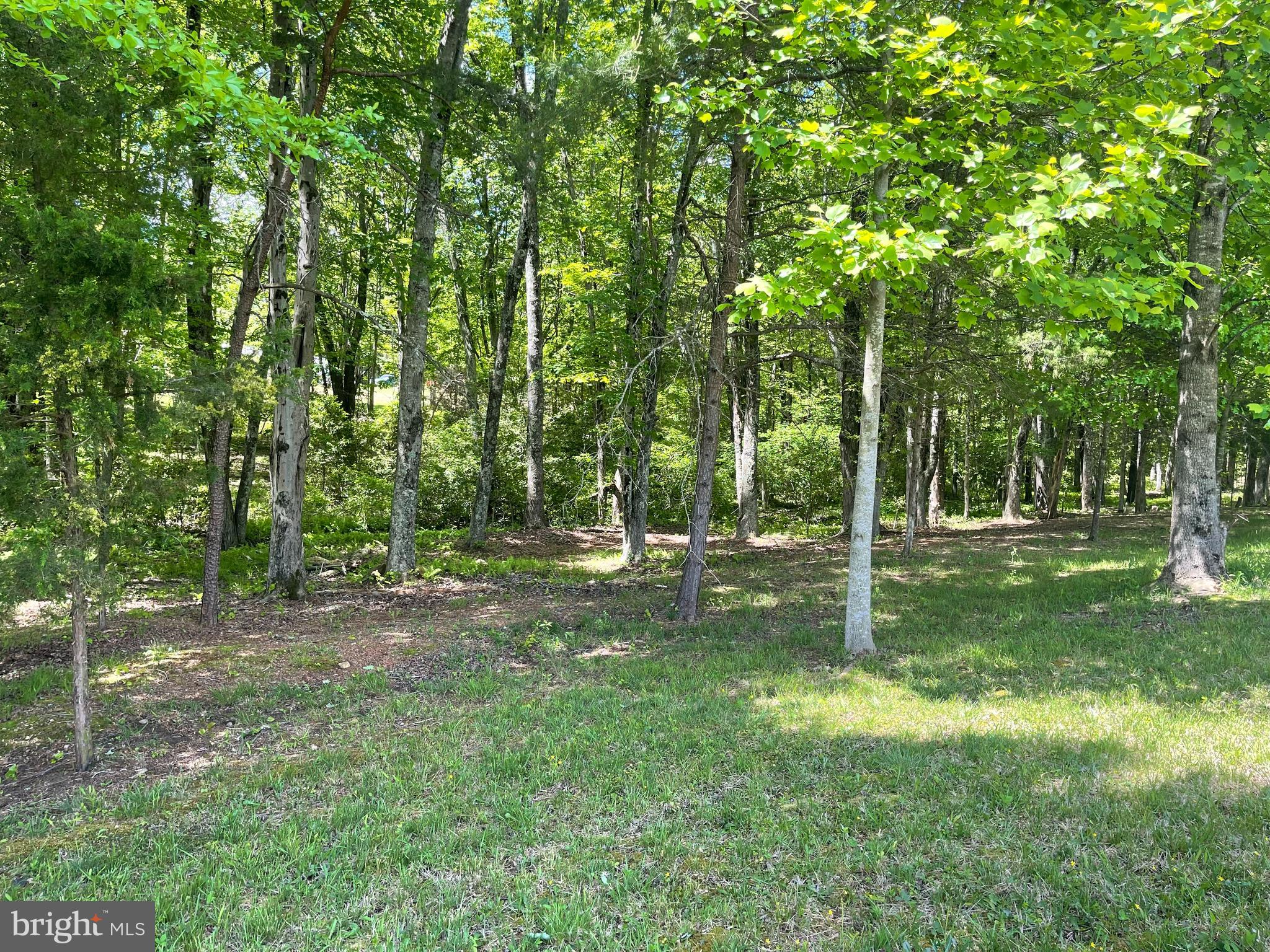 WHITE FAMILY DIVISION - Land