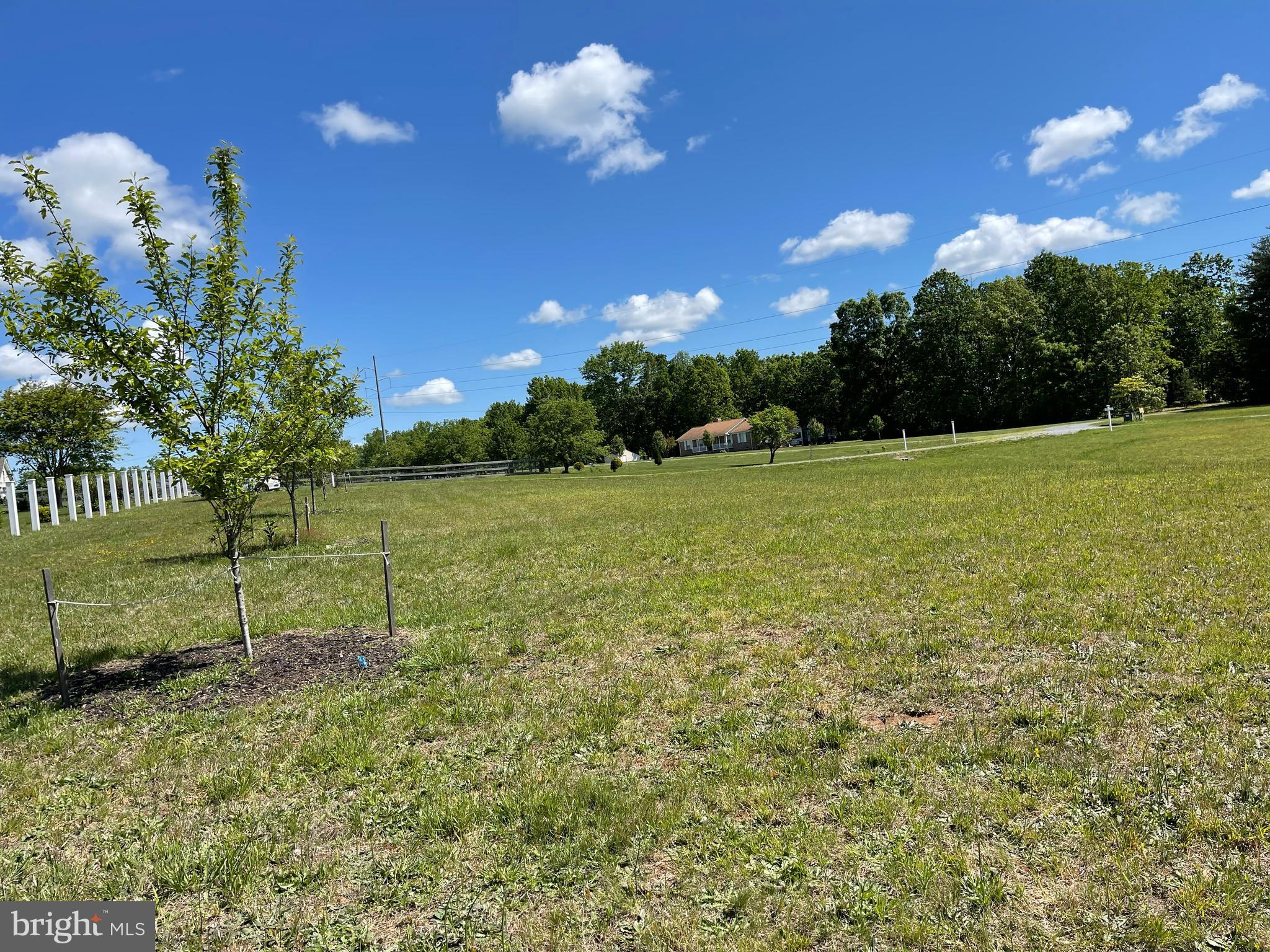 WHITE FAMILY DIVISION - Land