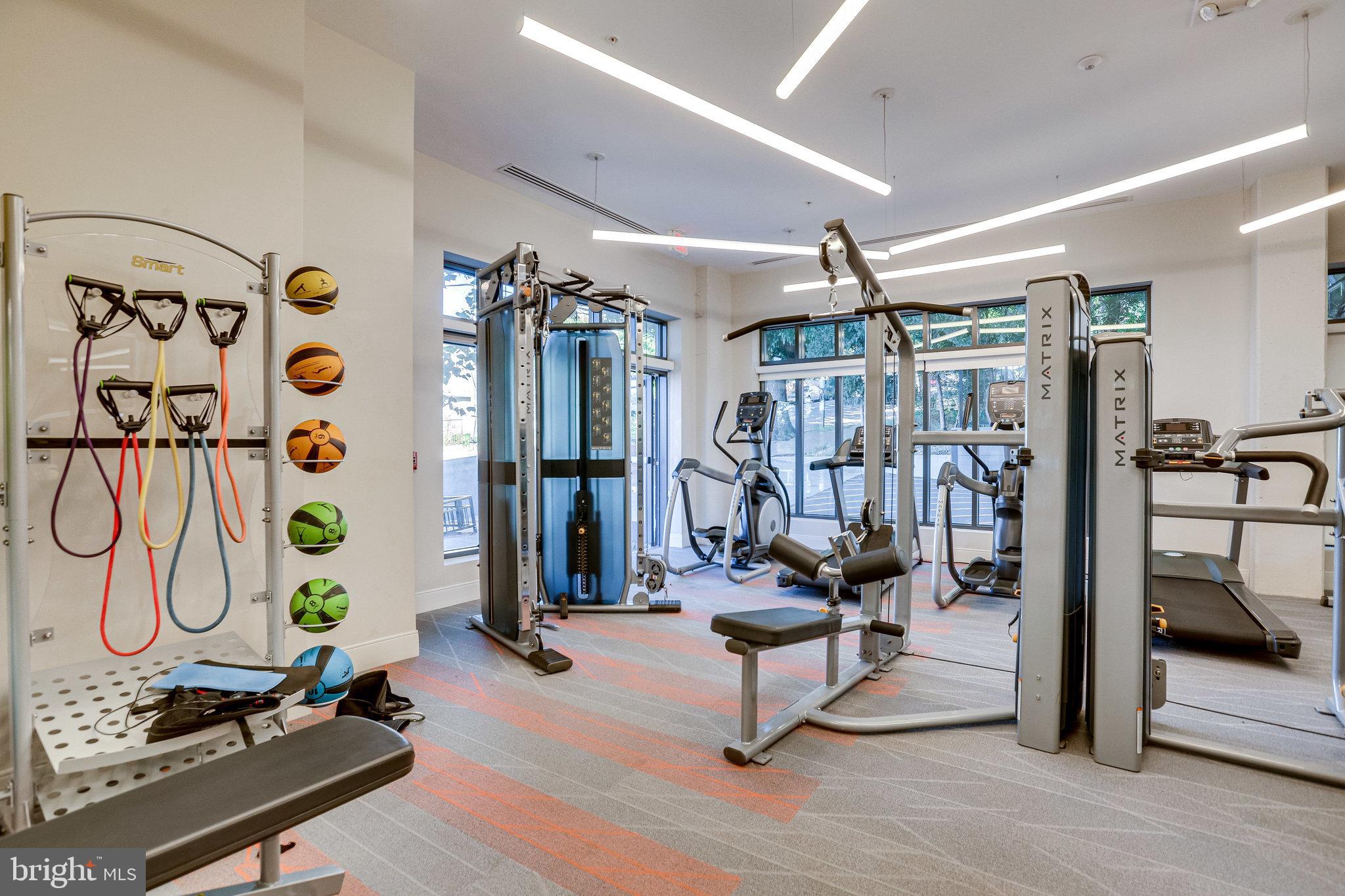 TRAFALGAR FLATS - Residential Lease