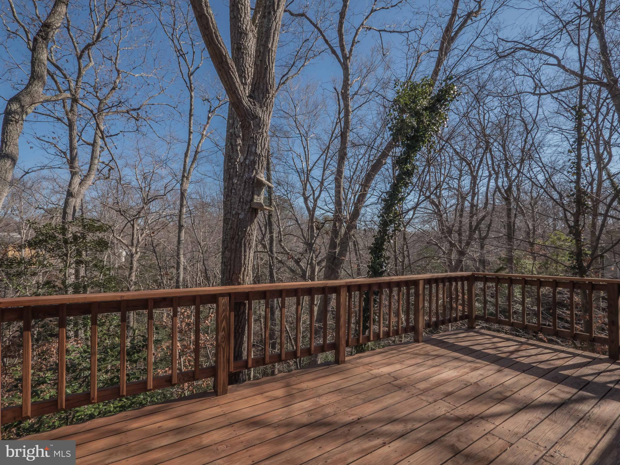 CHESAPEAKE RANCH ESTATES - Residential