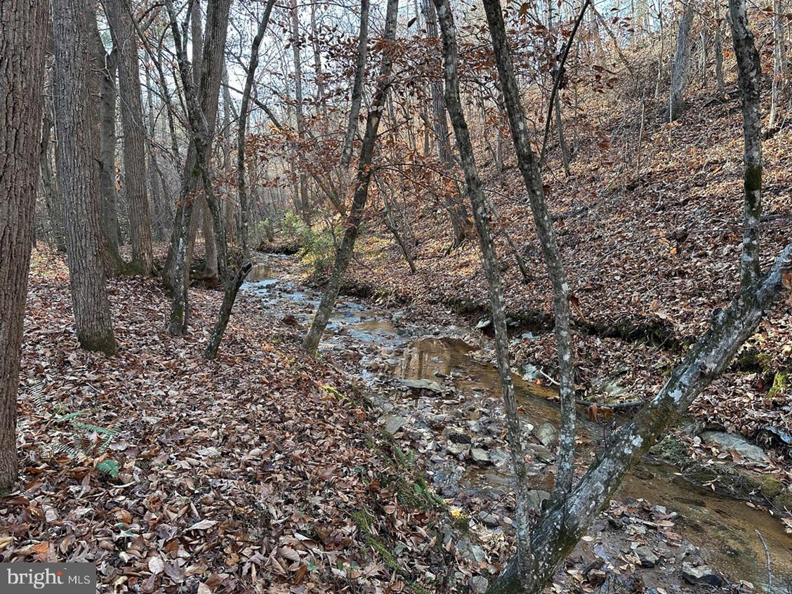 OLD DRIVER HILL ROAD (TRACT: H.M. DUVAL-1)