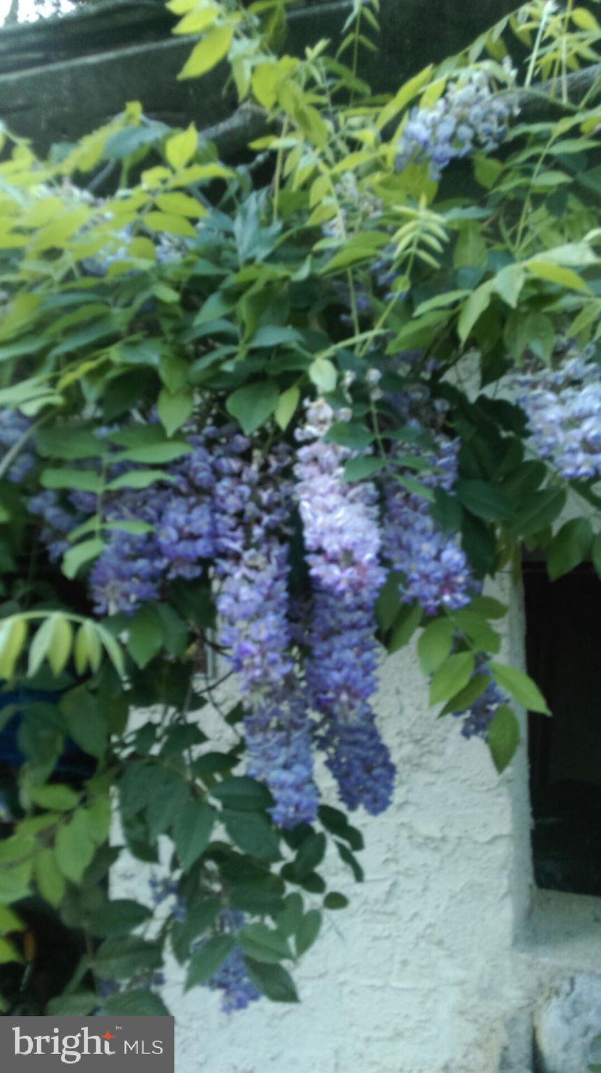 COLONIAL PARK - Residential