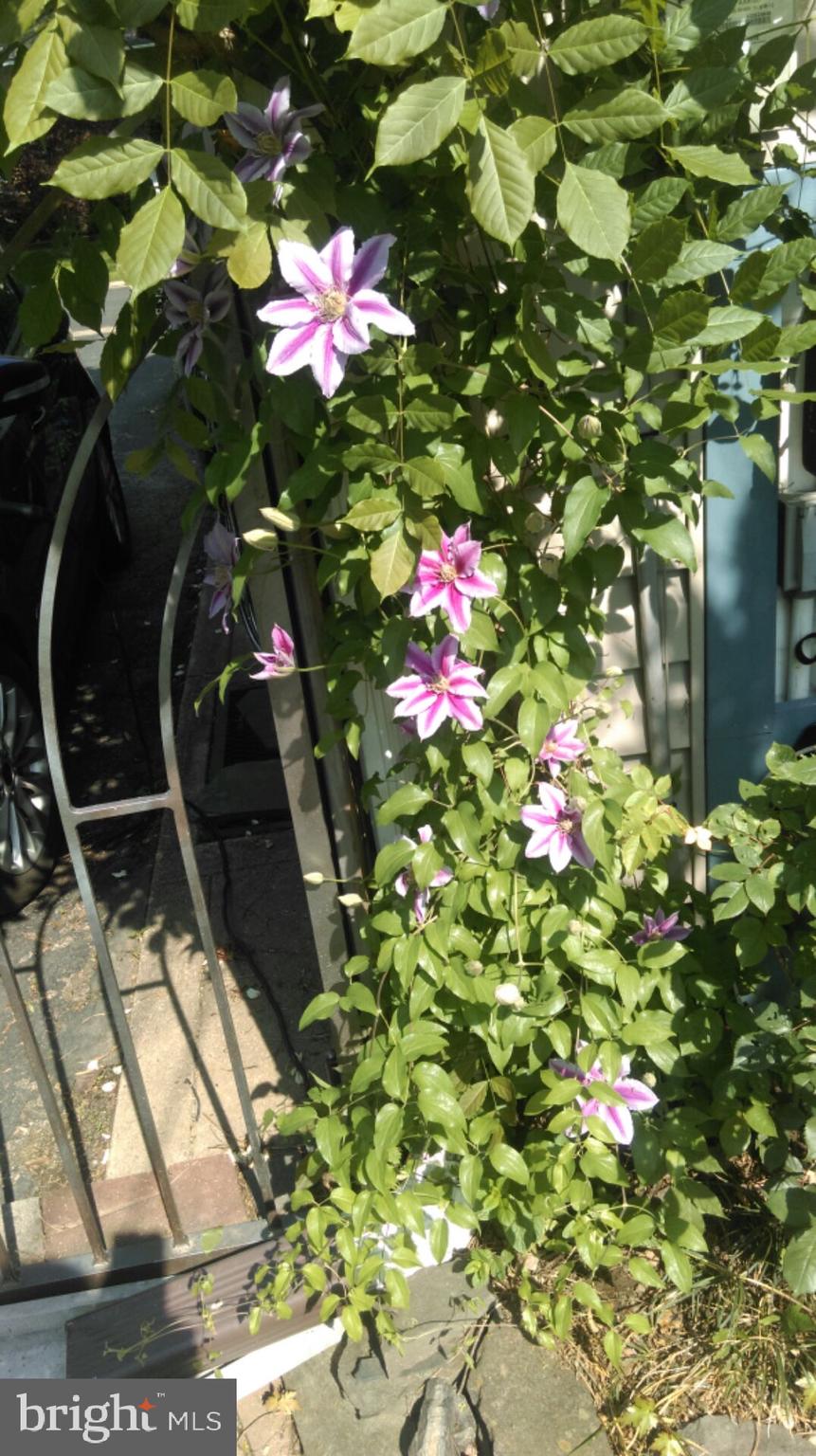 COLONIAL PARK - Residential