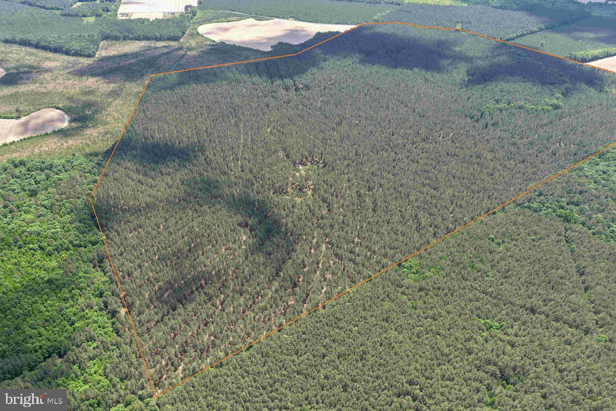 BRANTLEY MOORE TURNPIKE (TRACT AZALEA COMP 17)