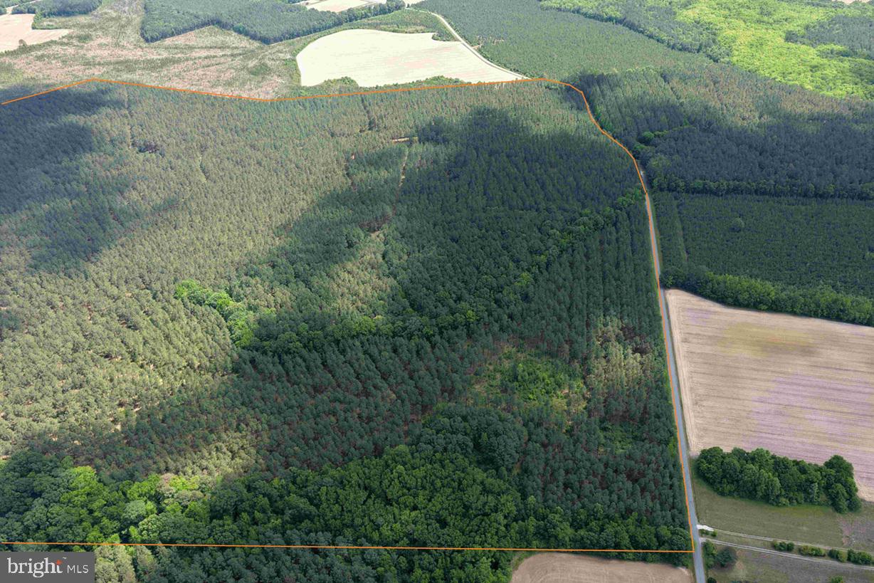 BRANTLEY MOORE TURNPIKE (TRACT AZALEA COMP 17)