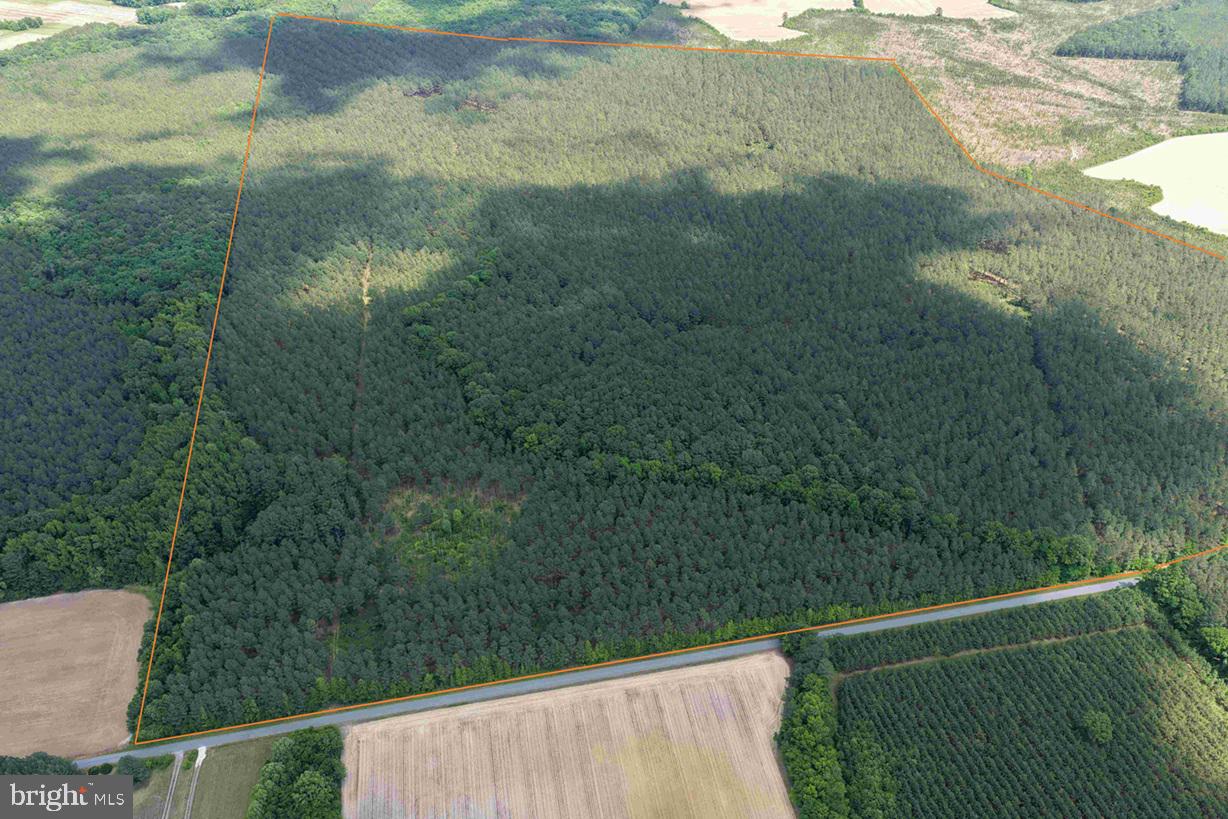 BRANTLEY MOORE TURNPIKE (TRACT AZALEA COMP 17)