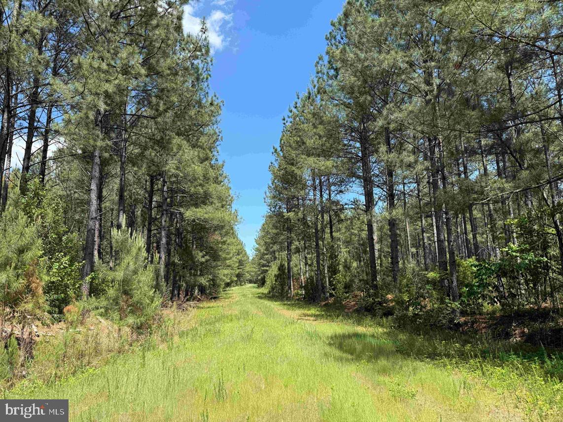 BRANTLEY MOORE TURNPIKE (TRACT AZALEA COMP 17)