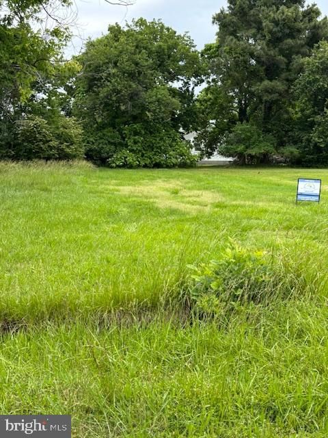 parcel 210 MELVIN WHITE ROAD DEAL ISLAND MD 21821