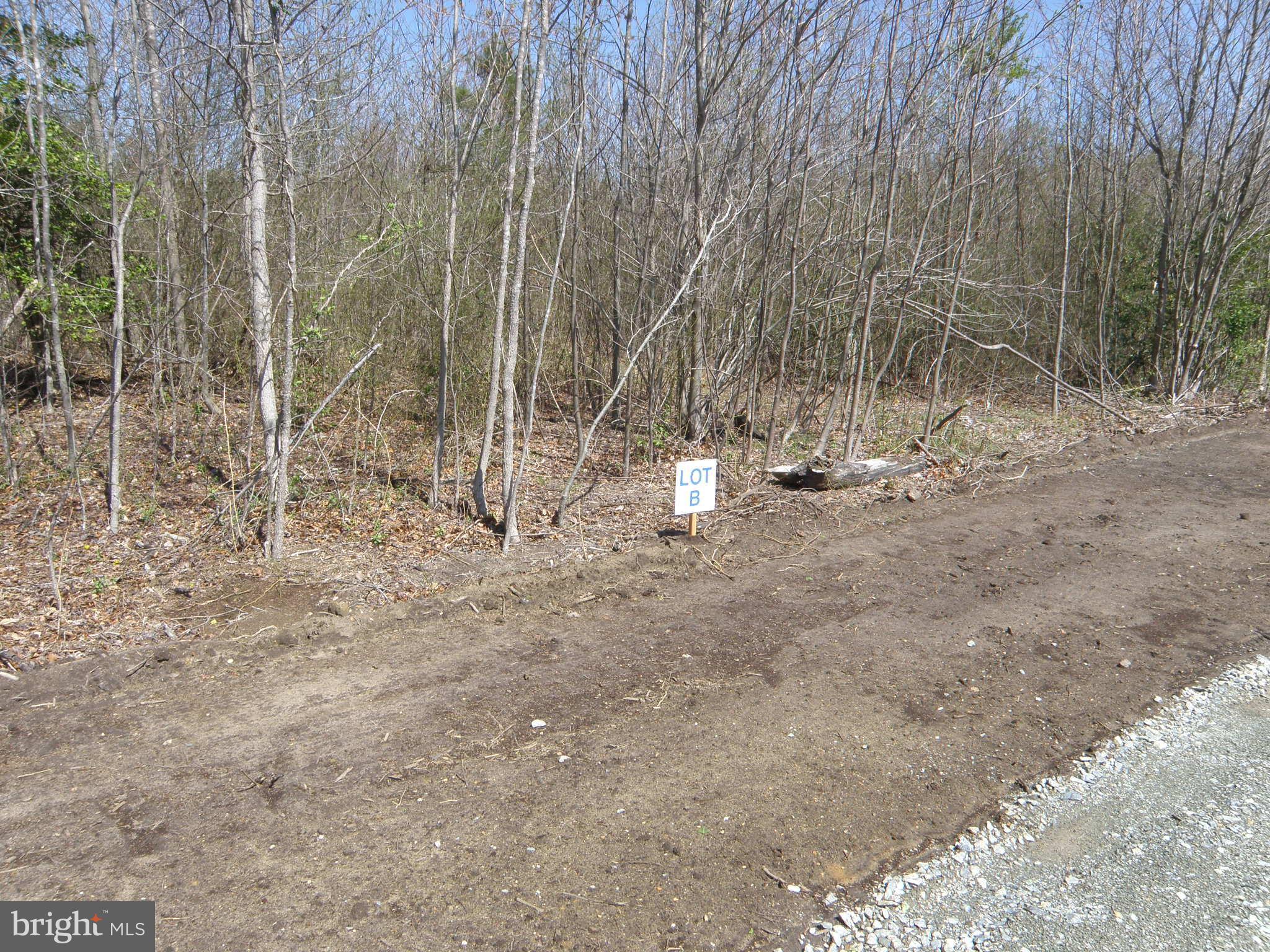 Lot B EASEMENT OFF OF SHORTLY RD