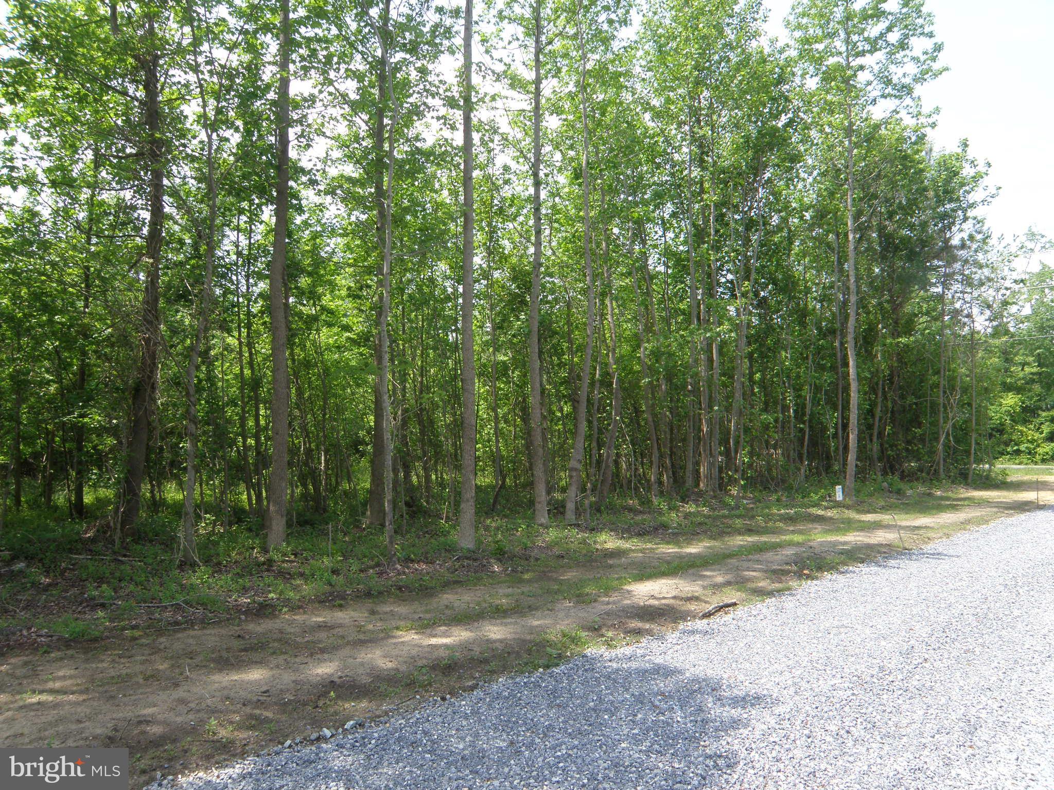 Lot B EASEMENT OFF OF SHORTLY RD