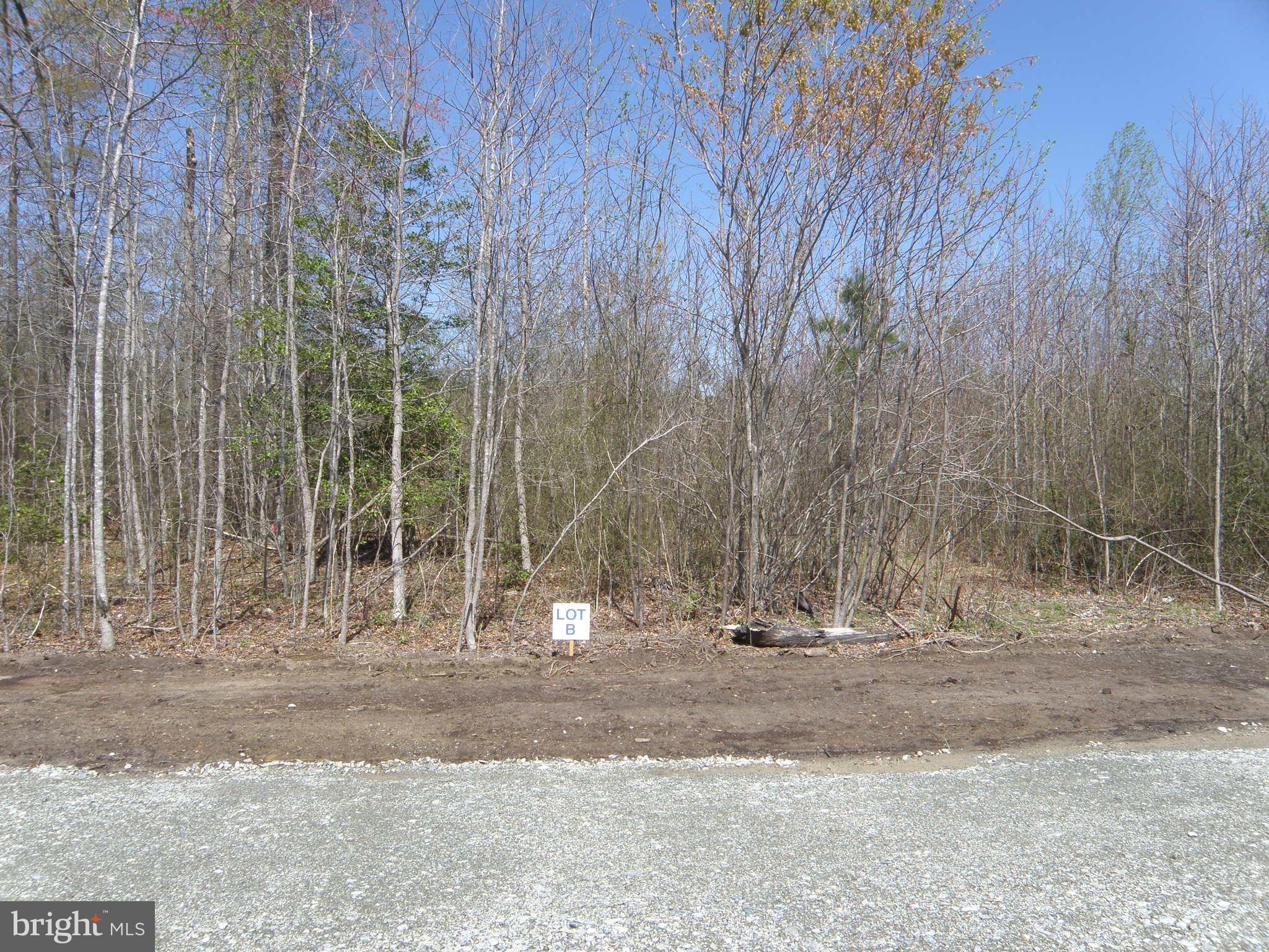 Lot B EASEMENT OFF OF SHORTLY RD