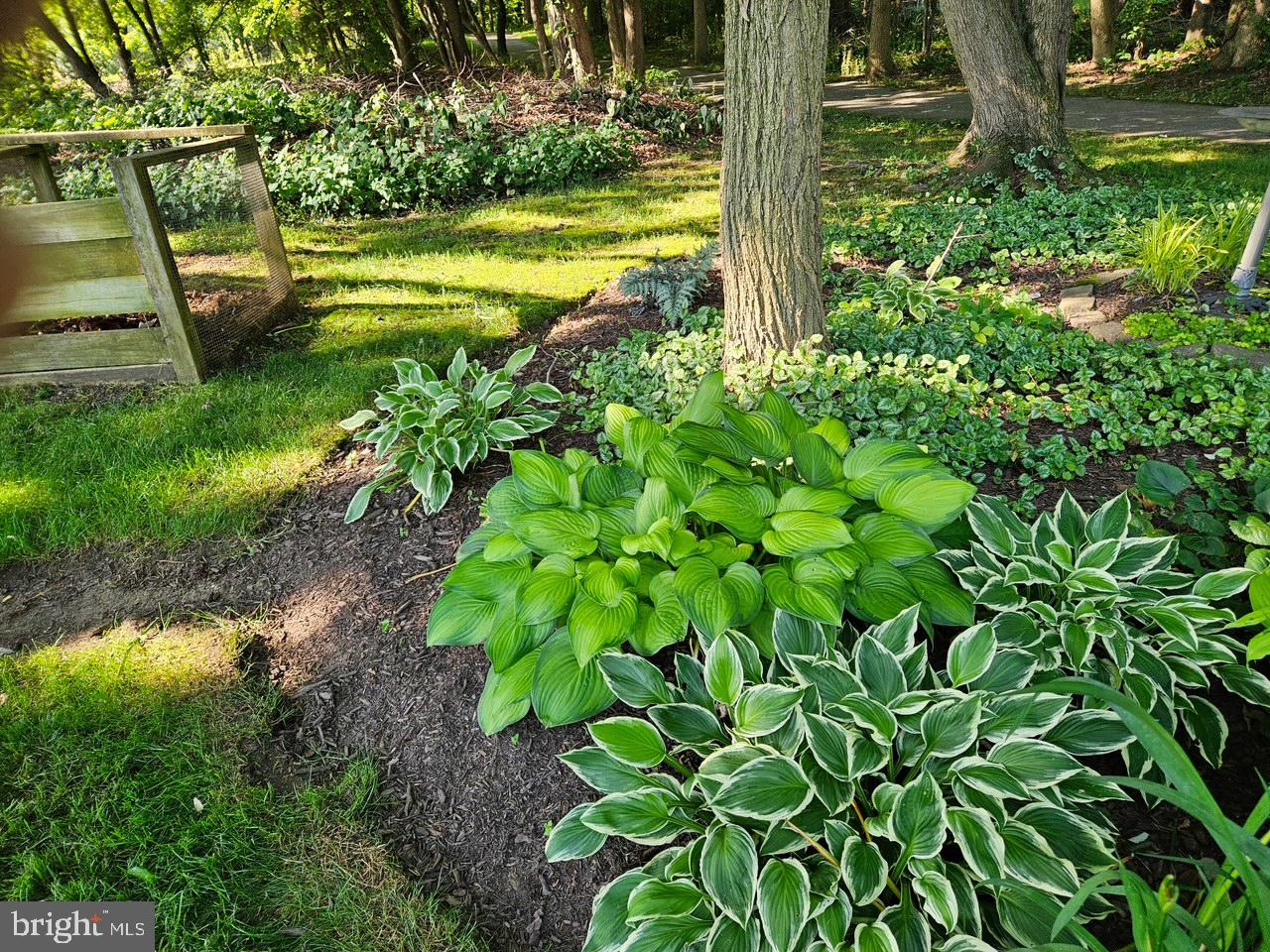 MITCHELLVILLE EAST - Residential