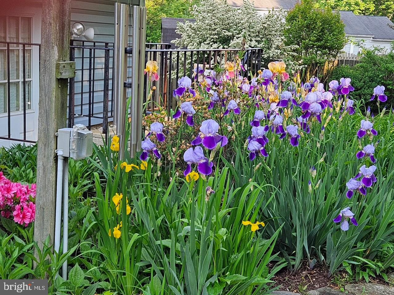 MITCHELLVILLE EAST - Residential