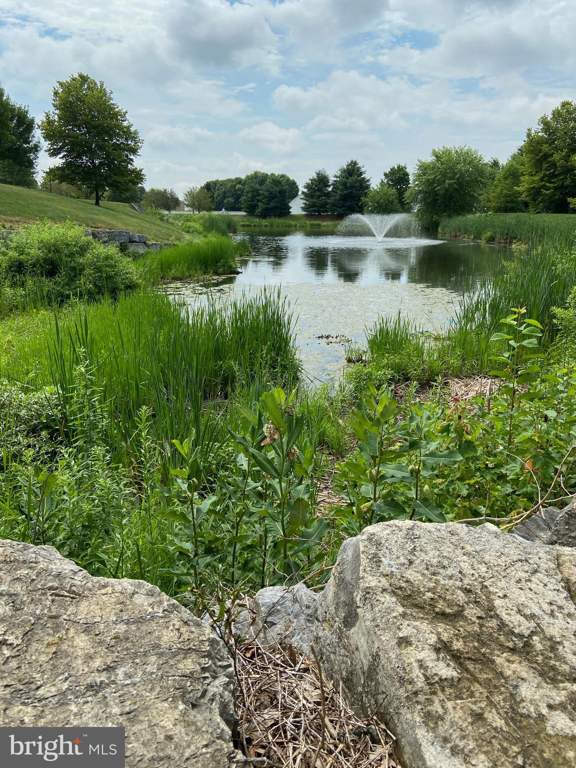 FLORIN HILL - Residential