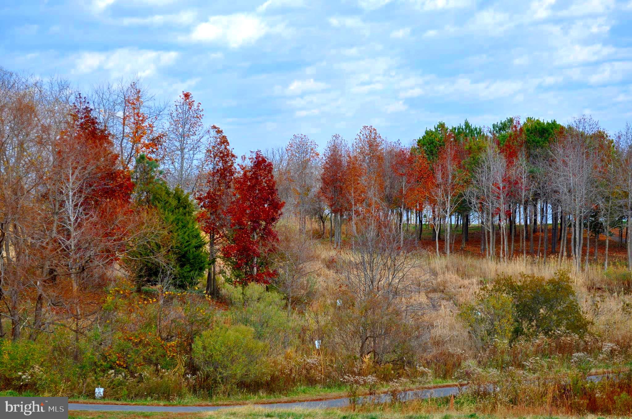 FOUR SEASONS AT KENT ISLAND - Residential Lease