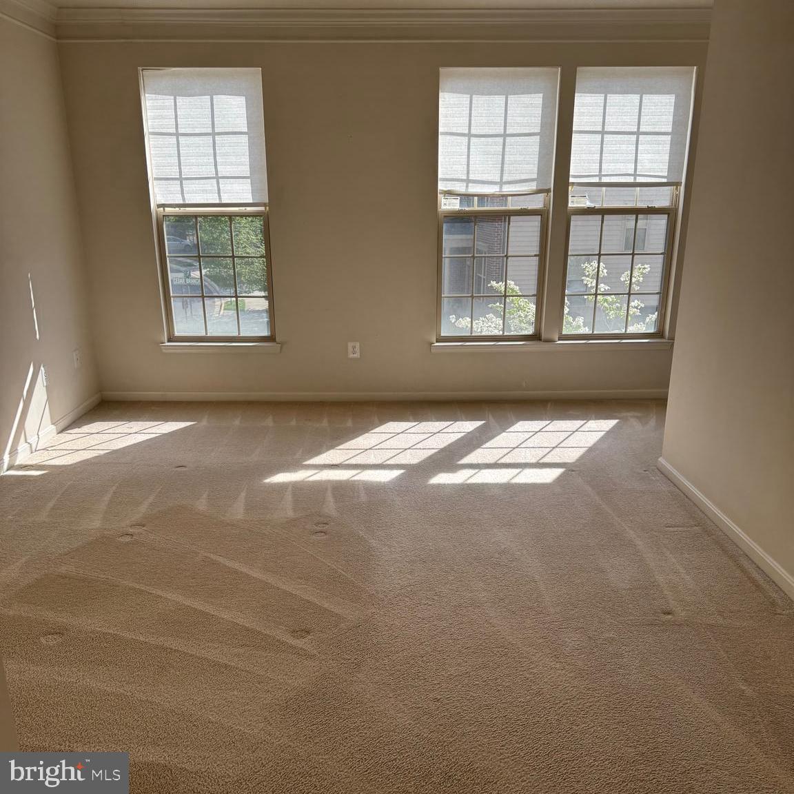 MADISON CRESCENT CONDOMINIUM - Residential Lease