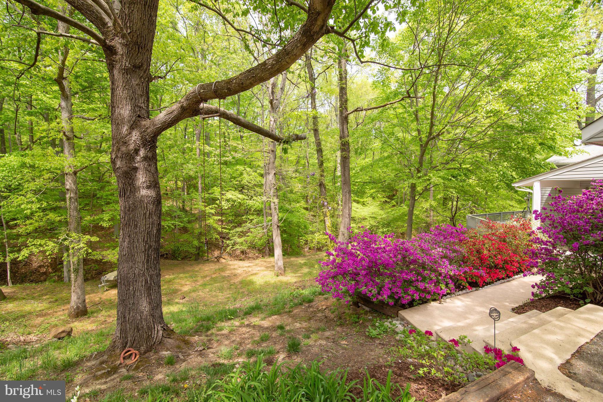 ROLLING KNOLLS - Residential