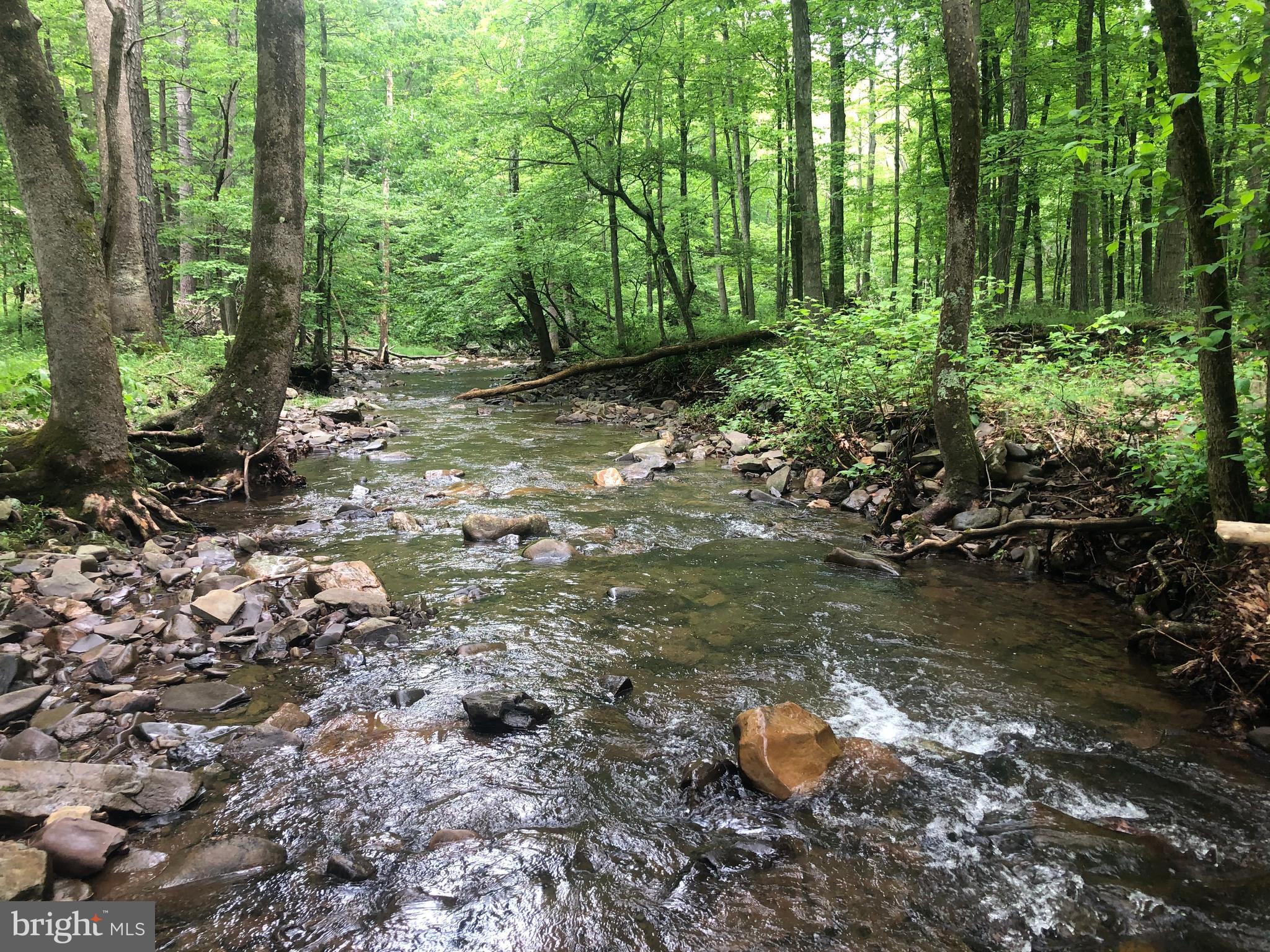 CABIN ON THE CREEK? NEARLY 22 WOODED ACRES WITH 700 + FT OF "CLIFFORD RUN" FLOWING THROUGH THE PROPERTY. ELEVATED BUILDING SITES WITHIN SITE & SOUND OF THE STREAM.....BUILD A LOG CABIN ON THIS LAND AND YOU'D HAVE YOUR OWN POSTCARD. THIS LOT ALSO OFFERS MORE ELEVATED BUILDING SITES WITH POTENTIAL FOR MOUNTAIN VIEWS AND A GORGEOUS FLAT 7 ACRE LOBLOLLY PINE FOREST.....POWER & PERKED....HUNT, SHOOT, HIKE, ATV'S, CAMP OR BUILD....JUST WANNA CAMP FOR NOW? PHENOMENAL FLAT CAMP SITE JUST ABOVE THE CREEK AMONGST ANCIENT HEMLOCKS, MINIMAL EXCAVTION WORK REQUIRED TO CREATE A PAD FOR YOUR CAMPER. LOCATED IN THE PRESTIGIOUS AIRBNB FRIENDLY 10,000 ACRE GATED COMMUNITY ASHTON WOODS, A ONE OF A KIND PLACE, WHERE YOU CAN ESCAPE THE WORK & WORRY OF THE BIG CITY AND TICKLE ALL YOUR OUTDOOR FANCIES....10 MINUTES OFF 4 LANE SUPER HIGHWAY, 10 MINUTES FROM MULTIPLE PUBLIC ACCESS POINTS ON THE SOUTH BRANCH OF THE POTOMAC RIVER, 15 MINUTES FROM MOOREFIELD(WAL-MART, RESTAURANTS, THEATER), 45 MINUTES FROM SKI RESORTS, 10 MINUTES FROM PRIVATE COMMUNITY ACCESS TO NATHANIEL MOUNTAIN WILDLIFE MANAGEMENT AREA 10,000 ACRES OF PUBLIC HUNTING & HIKING.....IF YOU LIKE THE OUTDOORS, YOU'LL NEVER RUN OUT OF THINGS TO DO.....WHO KNEW? ALL OF THIS WITHIN 2 HOURS OF DC.....BELIEVE IT! COME SEE FOR YOURSELF! IF YOU TAKE THE TIME TO EXPLORE THIS LOT, YOU'LL LOVE IT.....FINDING A STREAM LOT CAN BE VERY CHALLENGING, ESPECIALLY ONE IN WHICH YOU OWN BOTH SIDES OF THE STREAM, YOU DON'T HAVE TO SHARE YOUR STREAM ON THIS ONE, BUILD WITH CONFIDENCE KNOWING THAT YOU'LL NEVER HAVE A NEIGHBOR ACROSS THE CREEK.