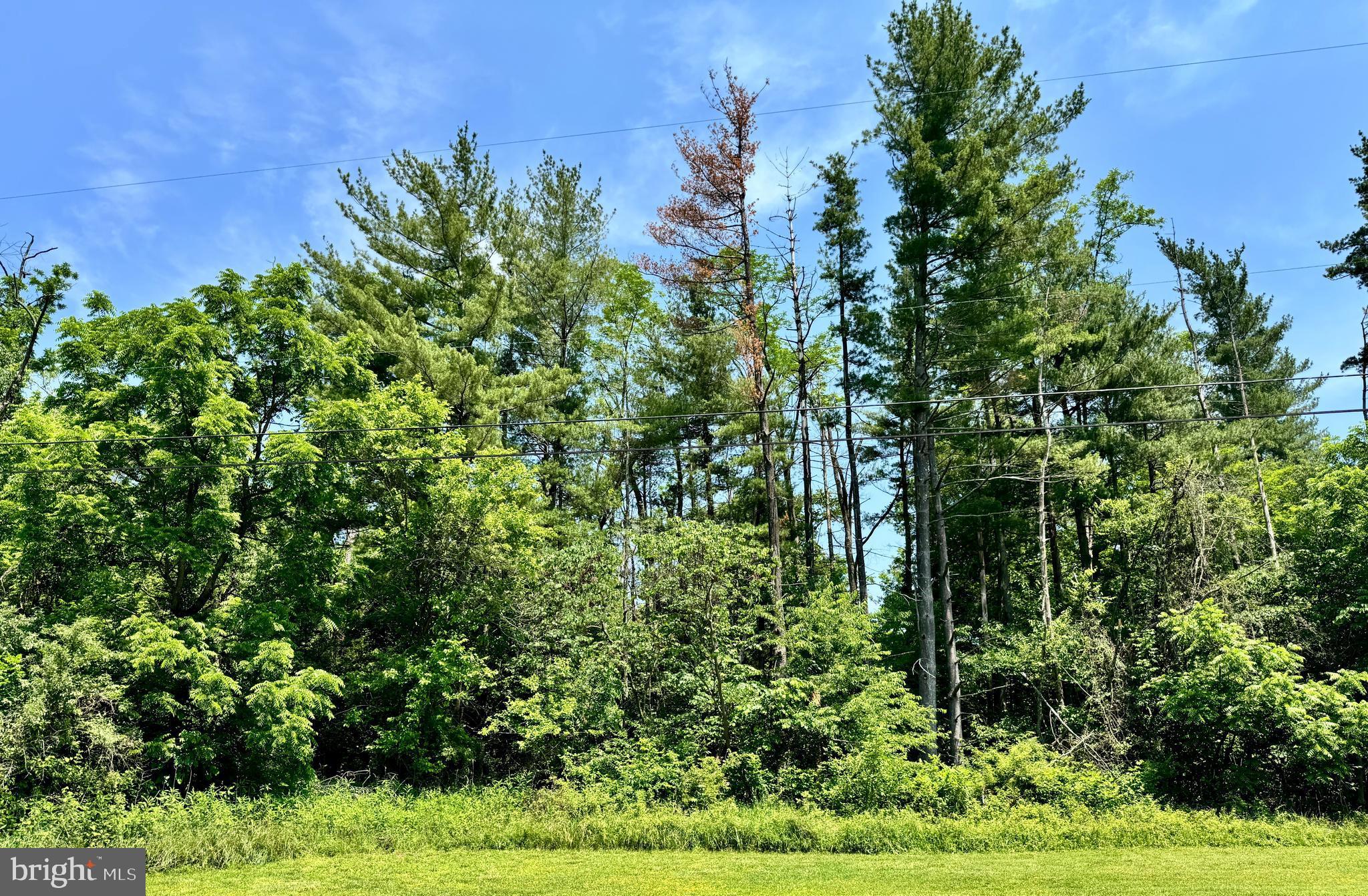 ALL BUNDLED INTO ONE FANTASTIC PACKAGE! 5.01 ACRES AWAITS!! THESE TWO LOTS TOGETHER WITH 13709 FIR TREE LN, CRESAPTOWN, (# MDAL2012074, $209,000) TOTAL 5.01 BEAUTIFUL ACRES OF PRIVATE PARADISE ARE BEING SOLD AS A PACKAGE! DON'T MISS YOUR OPPORTUNITY TO OWN A TUCKED-AWAY, PEACEFUL SETTING IN THE MOUNTAINS OF WESTERN MARYLAND! The charming landscape is adorned by the EXTREMELY WELL CARED FOR HOME with your very own BABBLING BROOK! CONVENIENTLY LOCATED TO SHOPPING, RESTAURANTS, SCHOOLS, NORTHRUP GRUMMAN, & THE WESTERN MARYLAND SCENIC RAILROAD! LOTS OF BEAUTIFUL HISTORY ON THIS PROPERTY! REQUEST YOUR APPOINTMENT TO TOUR TODAY!
