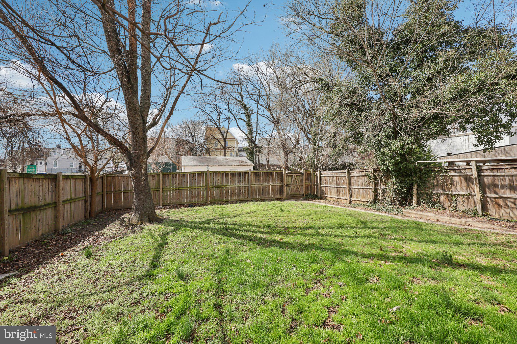 MOUNT RAINIER - Residential
