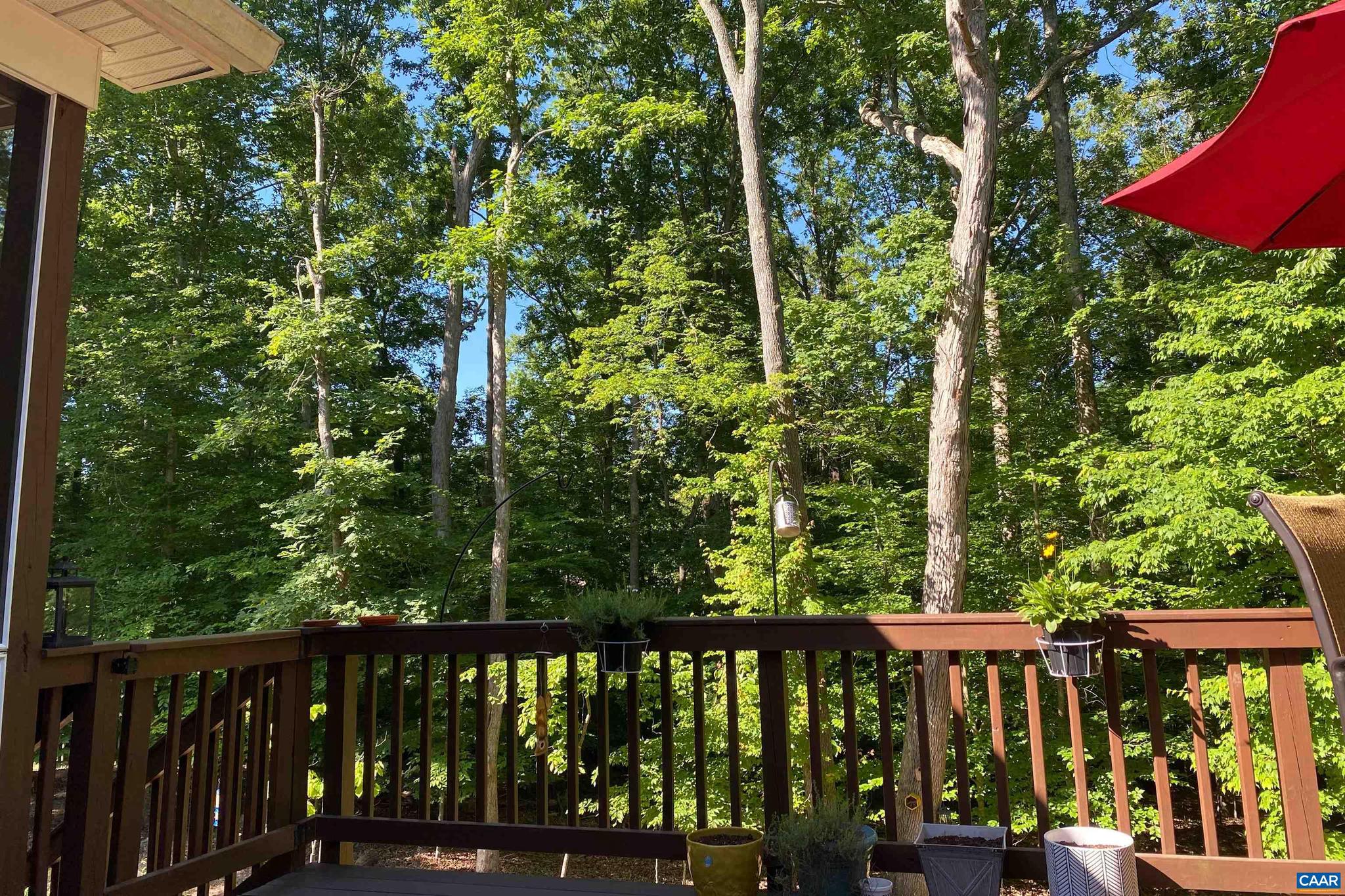 LAKE MONTICELLO - Residential