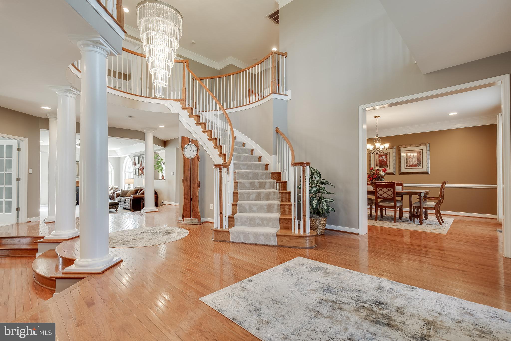 THE PADDOCKS AT DOWDEN DOWNS - Residential