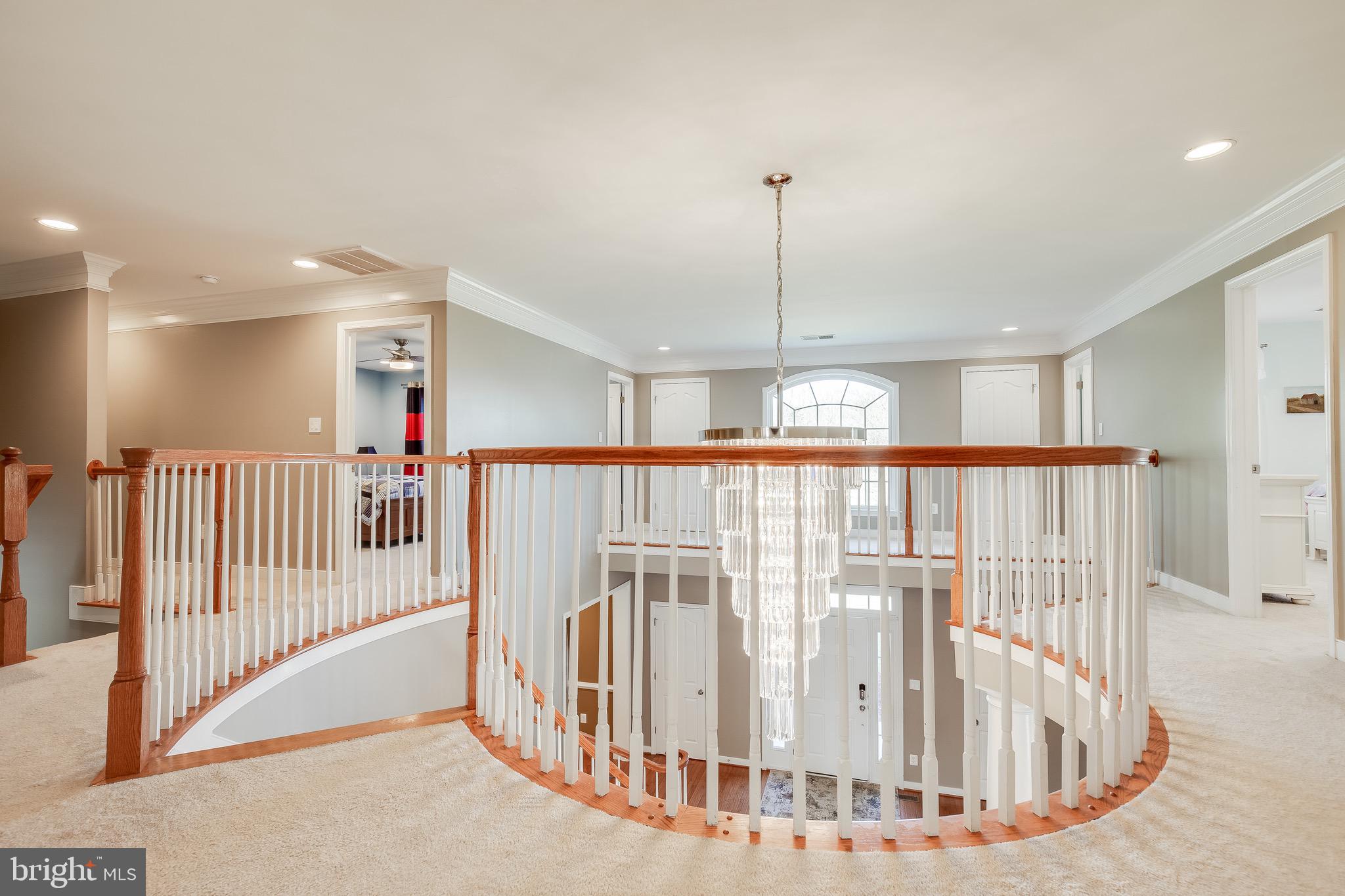 THE PADDOCKS AT DOWDEN DOWNS - Residential