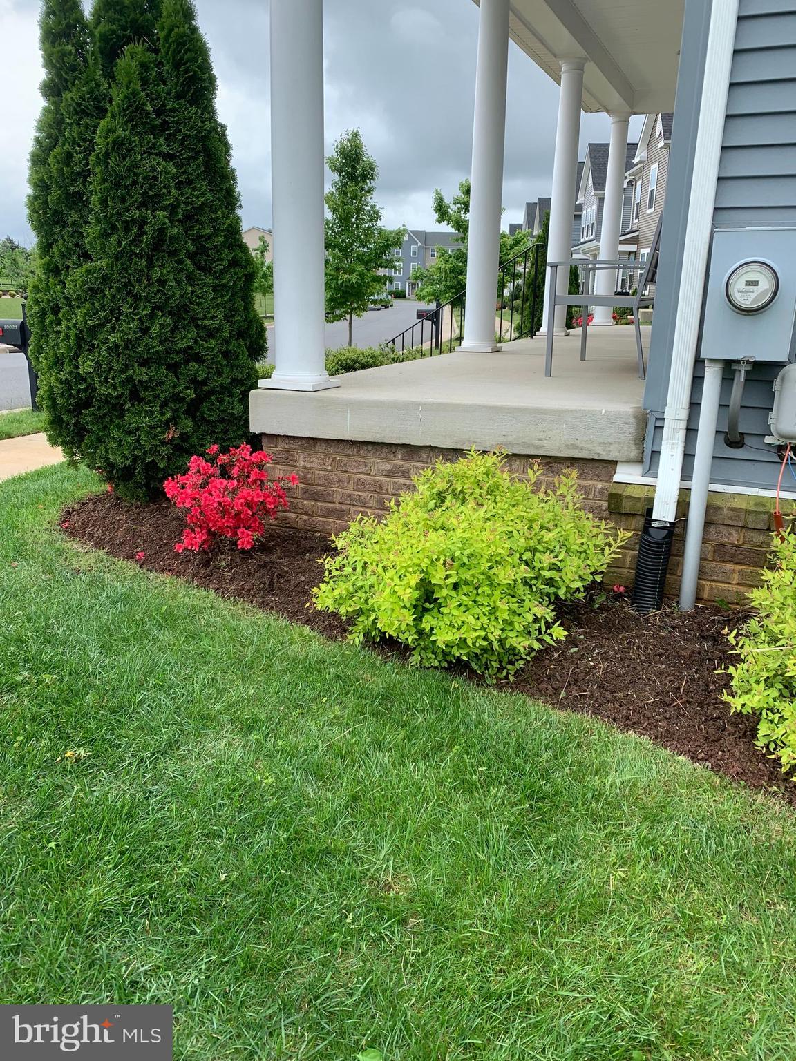 MINTBROOK - Residential Lease