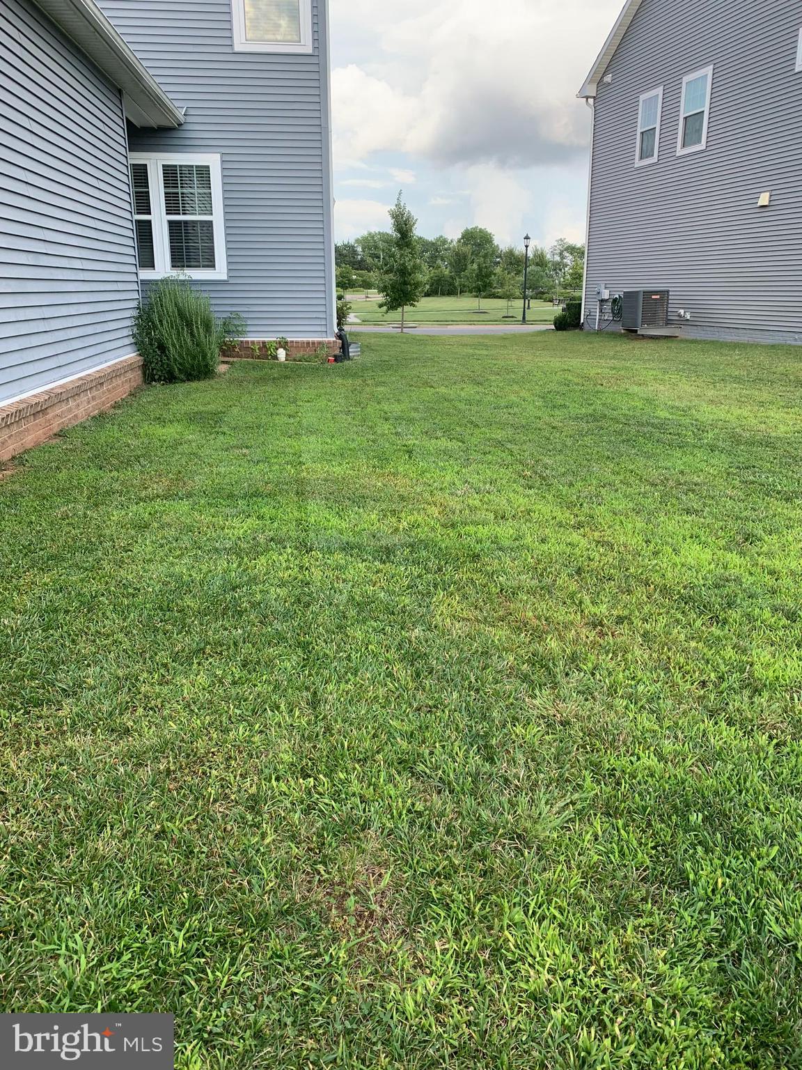 MINTBROOK - Residential Lease