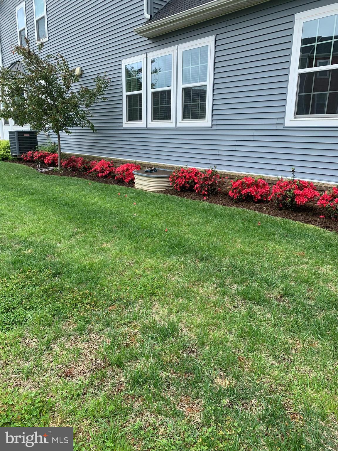 MINTBROOK - Residential Lease