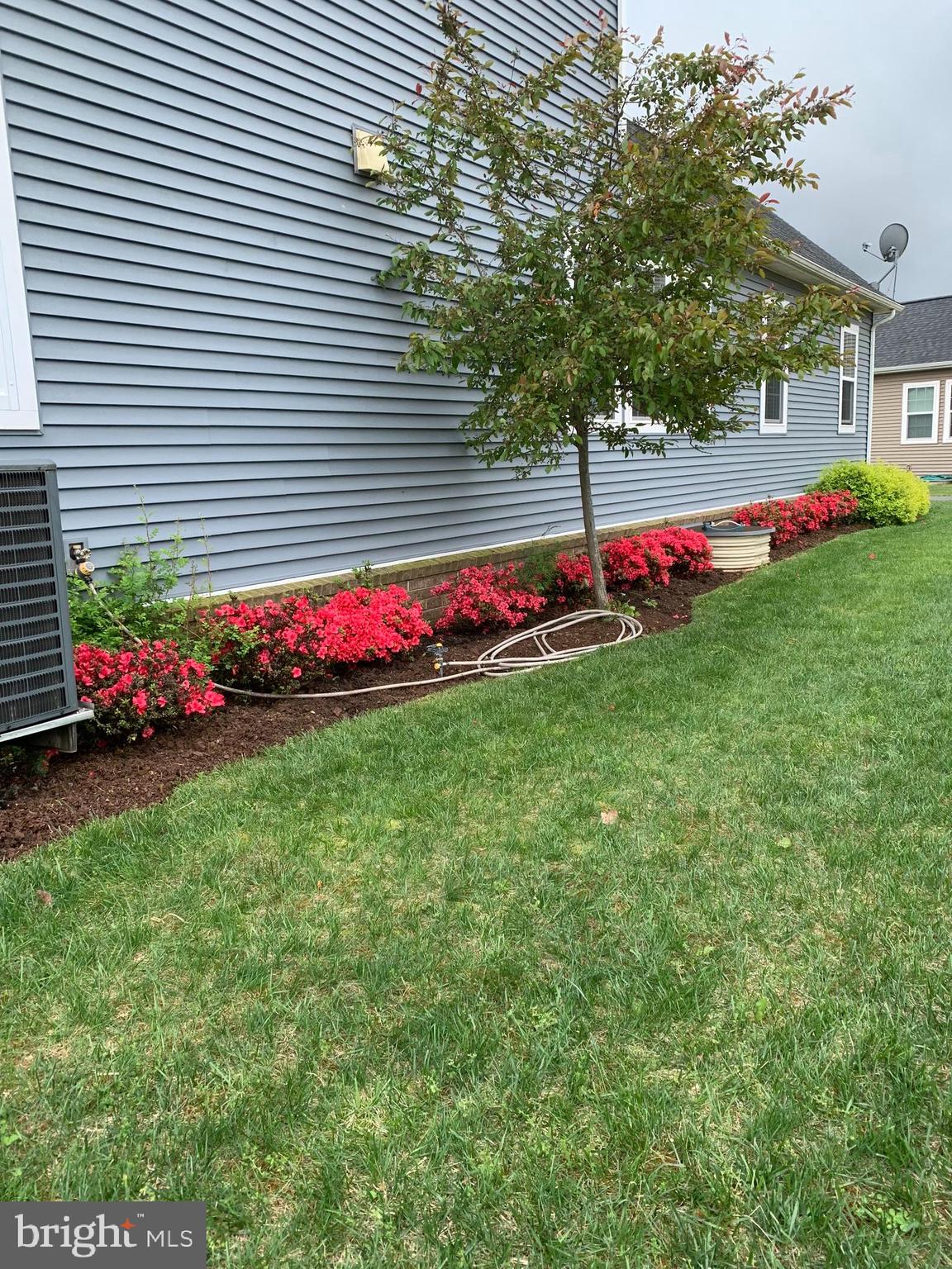 MINTBROOK - Residential Lease