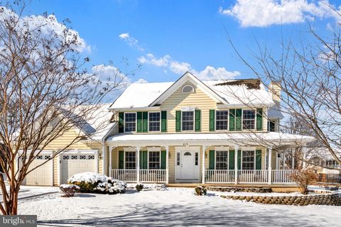 413 FREMONT COURT BERRYVILLE VA 22611