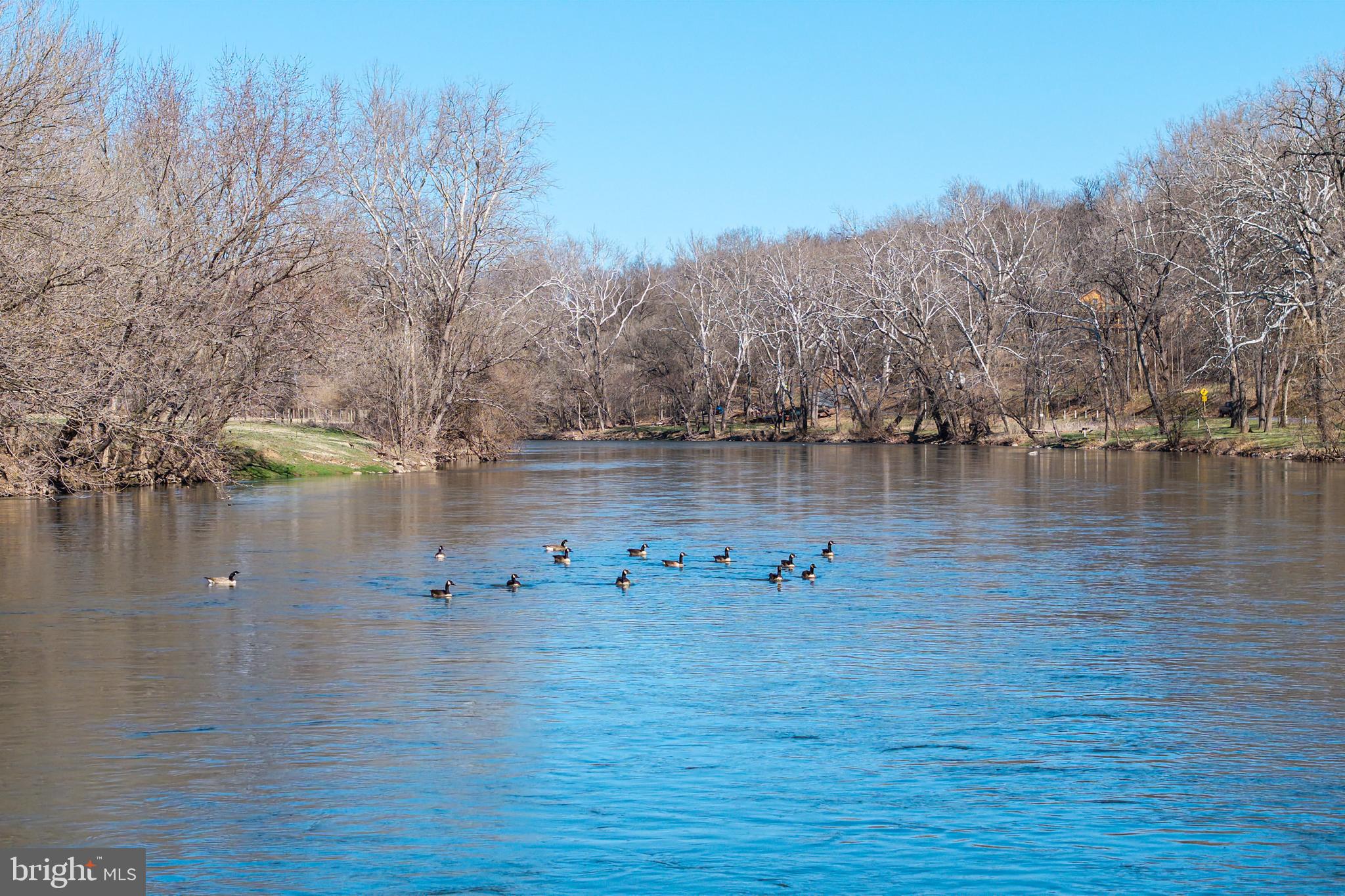 SHENANDOAH GAP - Residential
