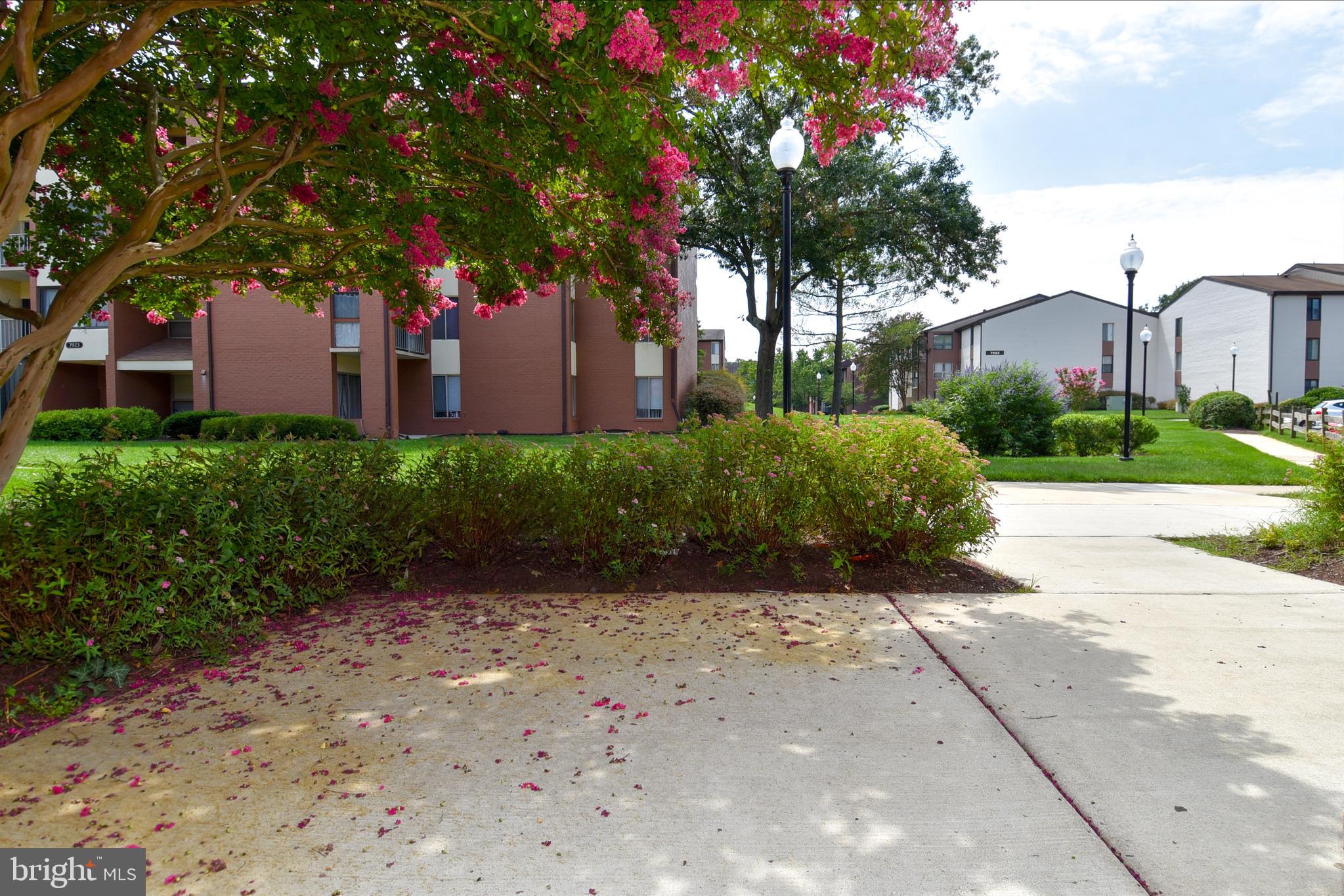 GREENBRIAR CONDO PHASE I - Residential Lease