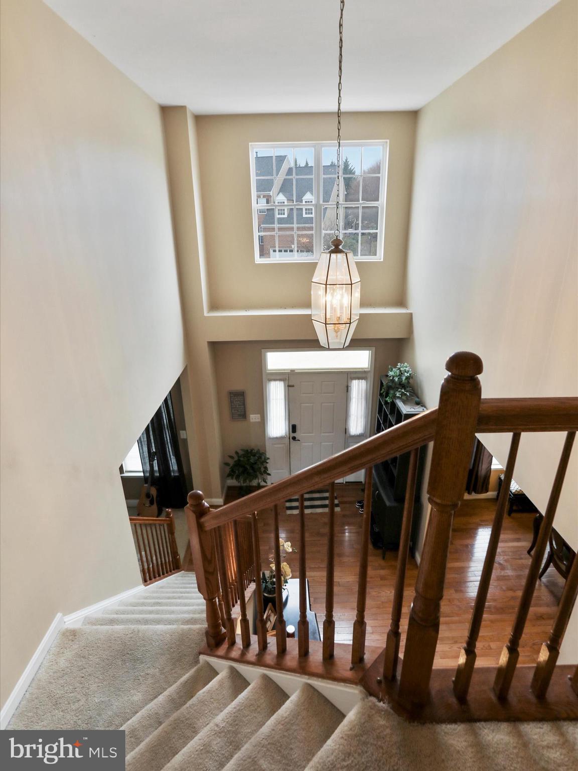 NORBORNE GLEBE - Residential