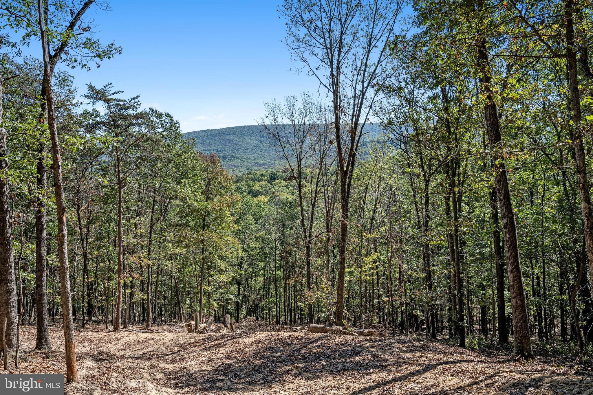 LOT 6 BACK CREEK RD