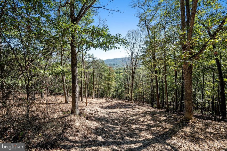 Access installed and homesite cleared, easy to show. Scenic Wooded Lots with Creek & Mountain Views – 30 Minutes from Winchester, VA Discover the perfect blend of privacy and convenience with this stunning,5.1 acre wooded lot, ideally situated just 30 minutes from downtown Winchester, VA. Nestled along a state-maintained, paved road with power on-site, these parcels offer both accessibility and seclusion. Back Creek meanders through the lower portion of the land, creating a peaceful and picturesque setting for your dream home. This lot has beautiful views already accessible at the elevated, cleared homesite. Whether you're looking for a weekend getaway, a private homestead, or an investment opportunity, these properties offer endless potential. Don’t miss this chance to own a slice of Virginia’s natural beauty! Contact us today for more details or to schedule a tour. Adjacent parcels also available, listed separately.
