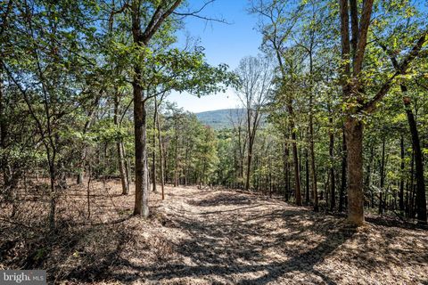 LOT 6 BACK CREEK RD GORE VA 22637