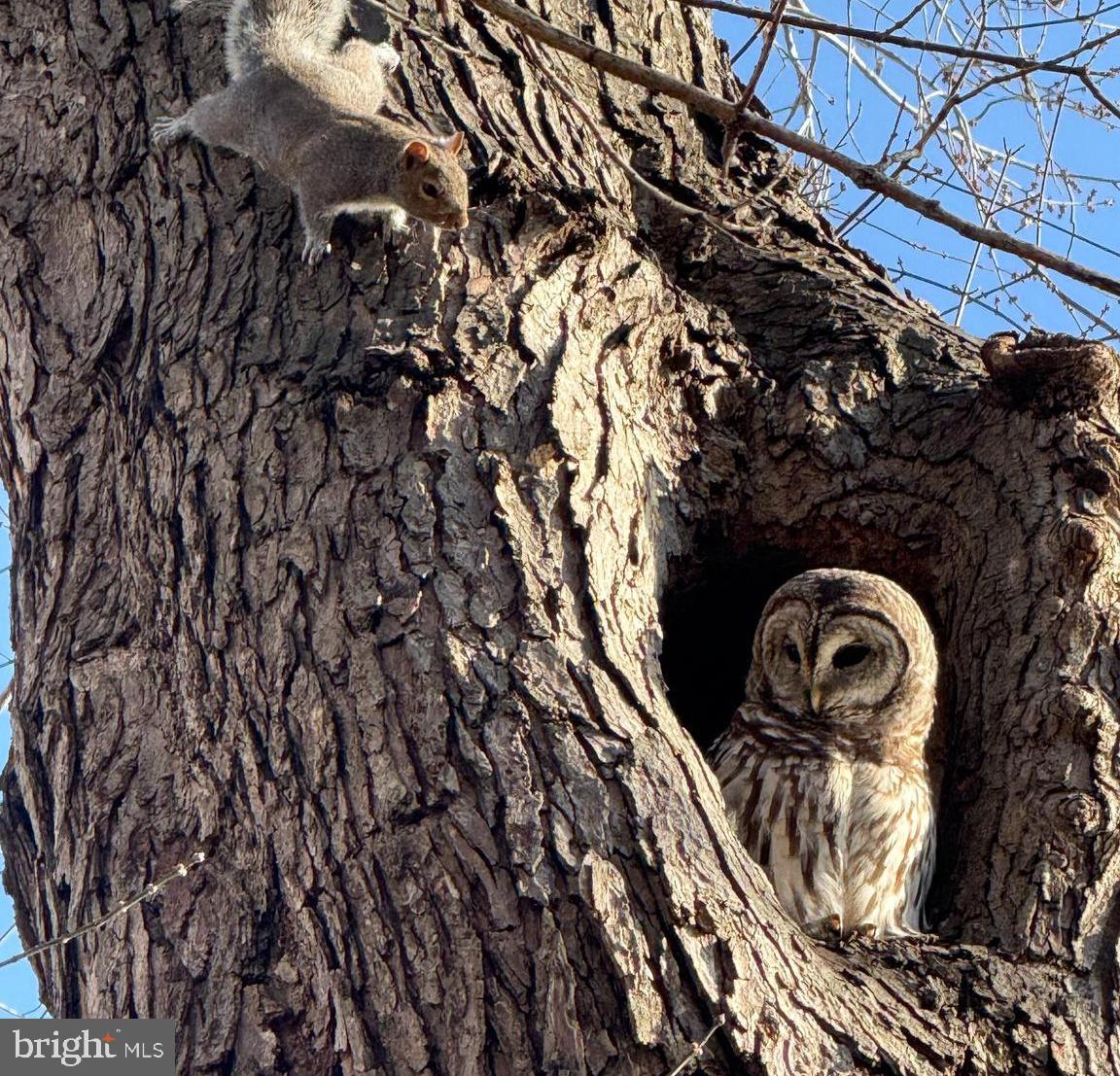 RIVER CREEK - Residential