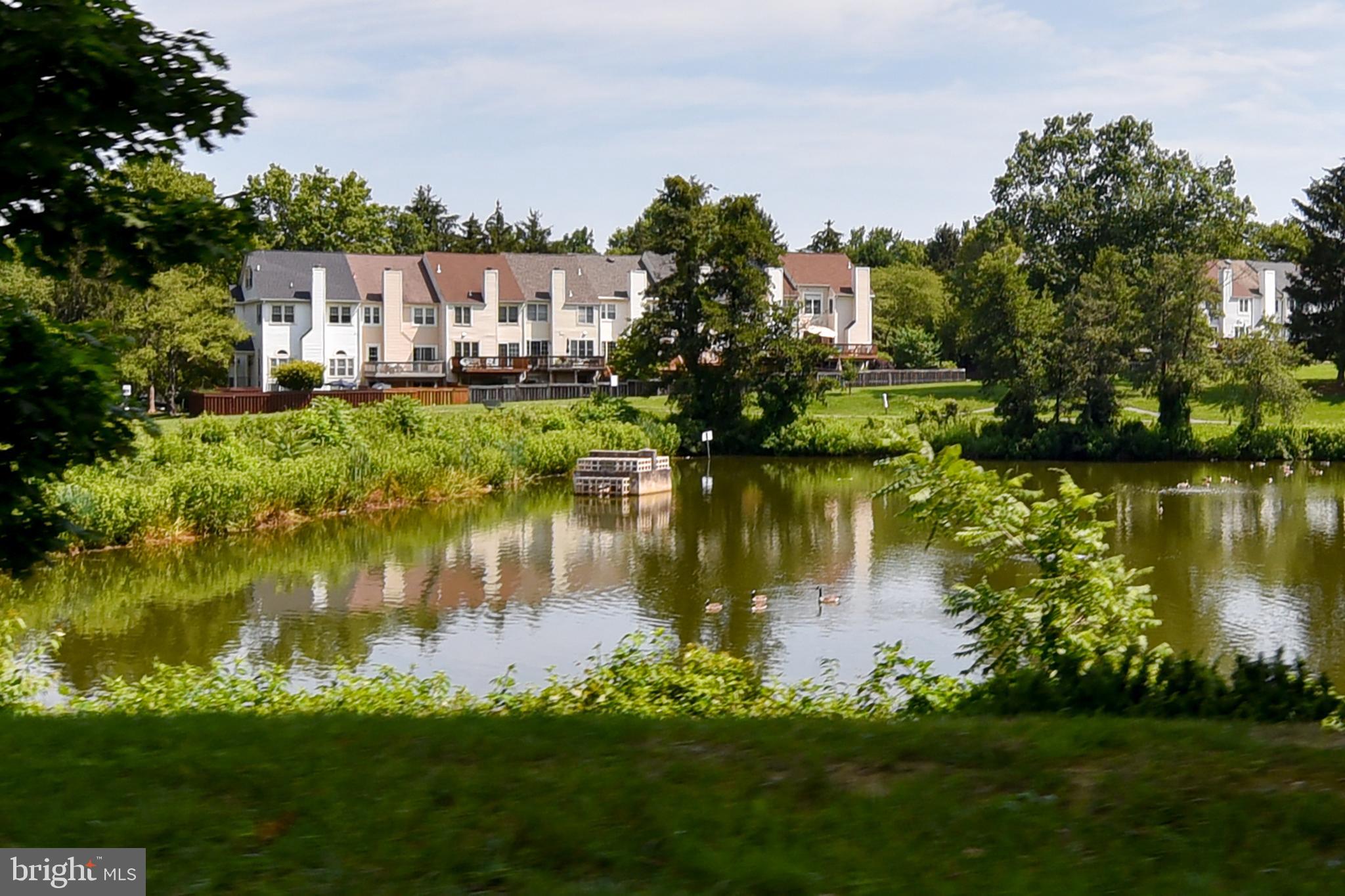 MONTGOMERY VILLAGE - Residential