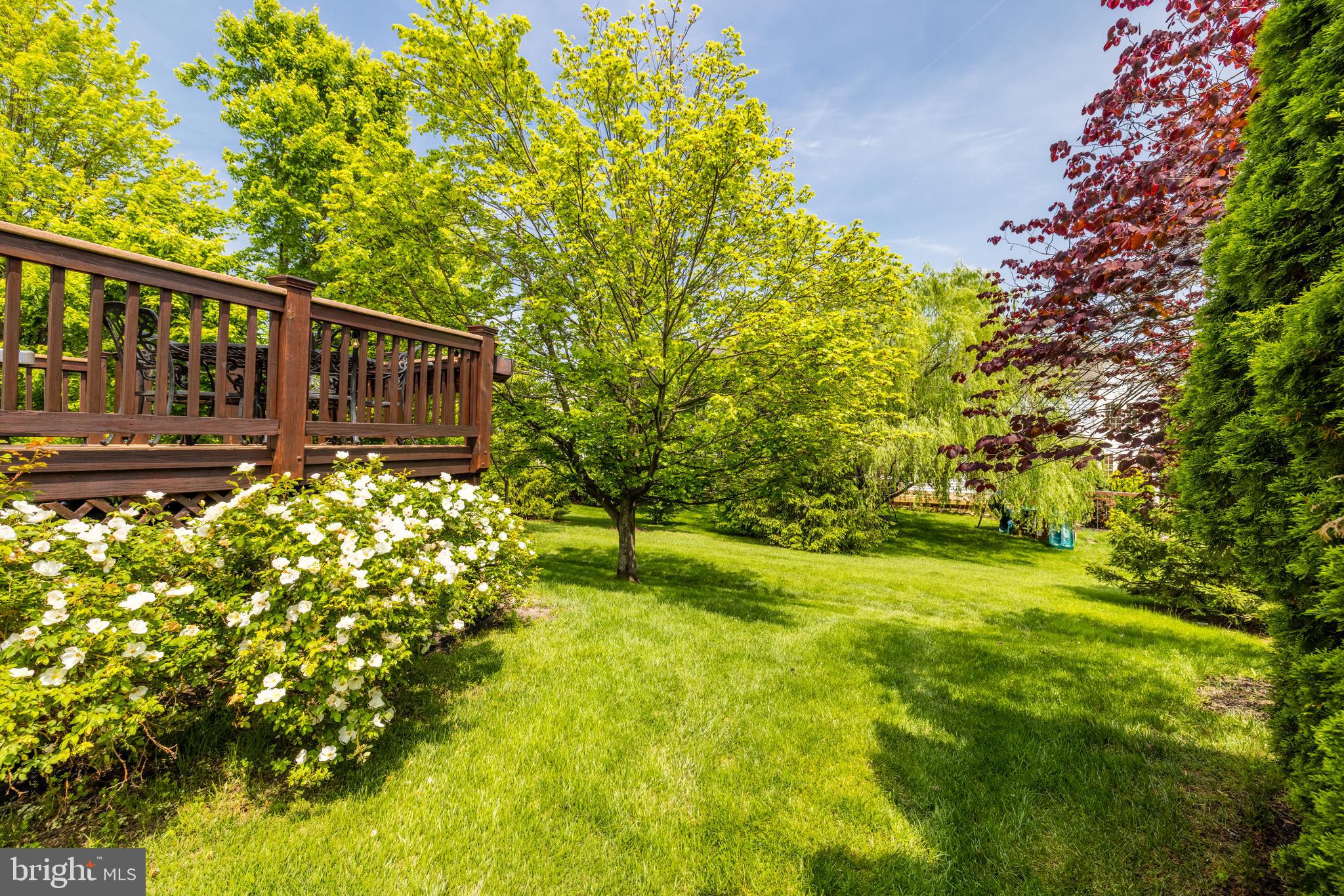 LANSDOWNE ON THE POTOMAC - Residential