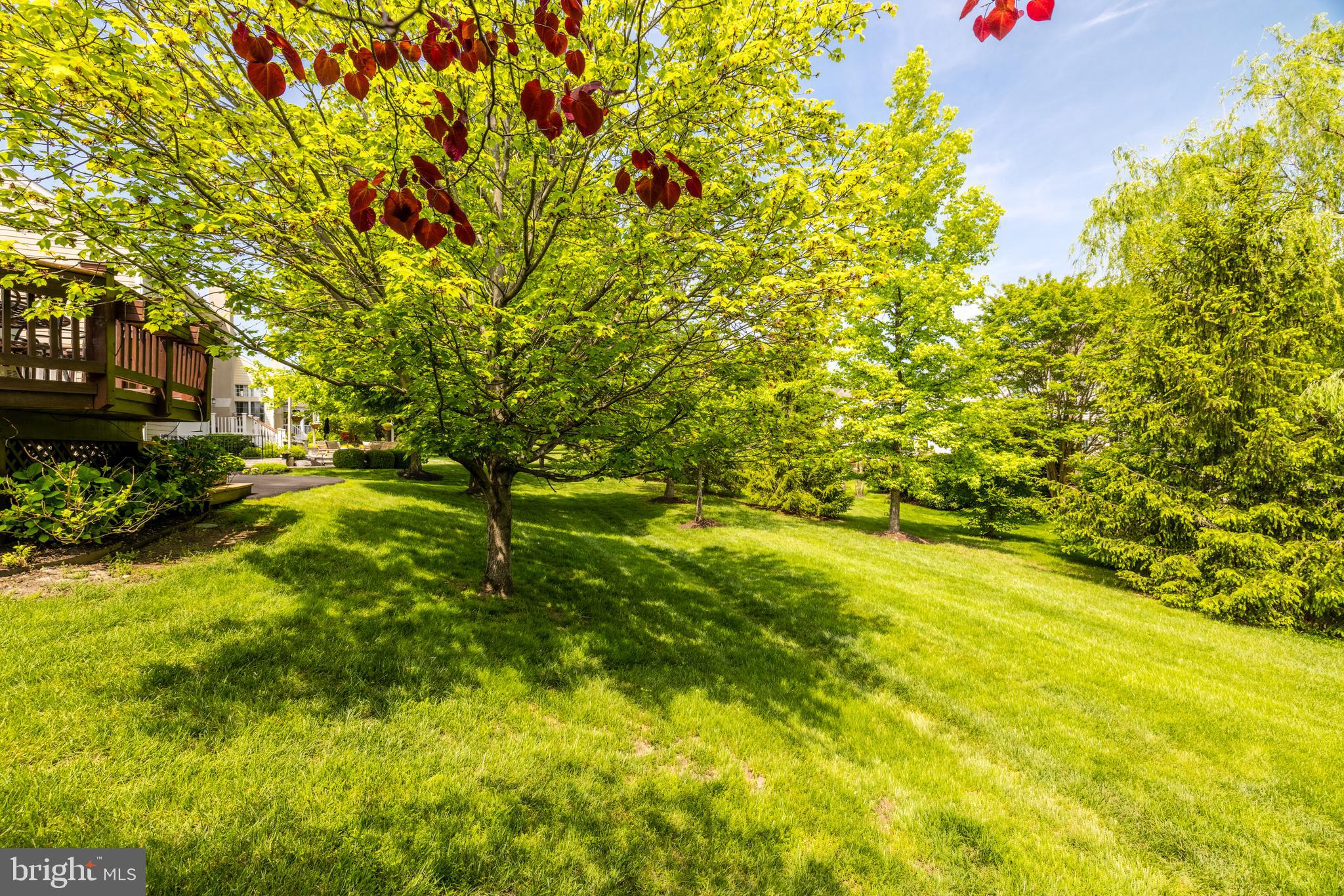 LANSDOWNE ON THE POTOMAC - Residential