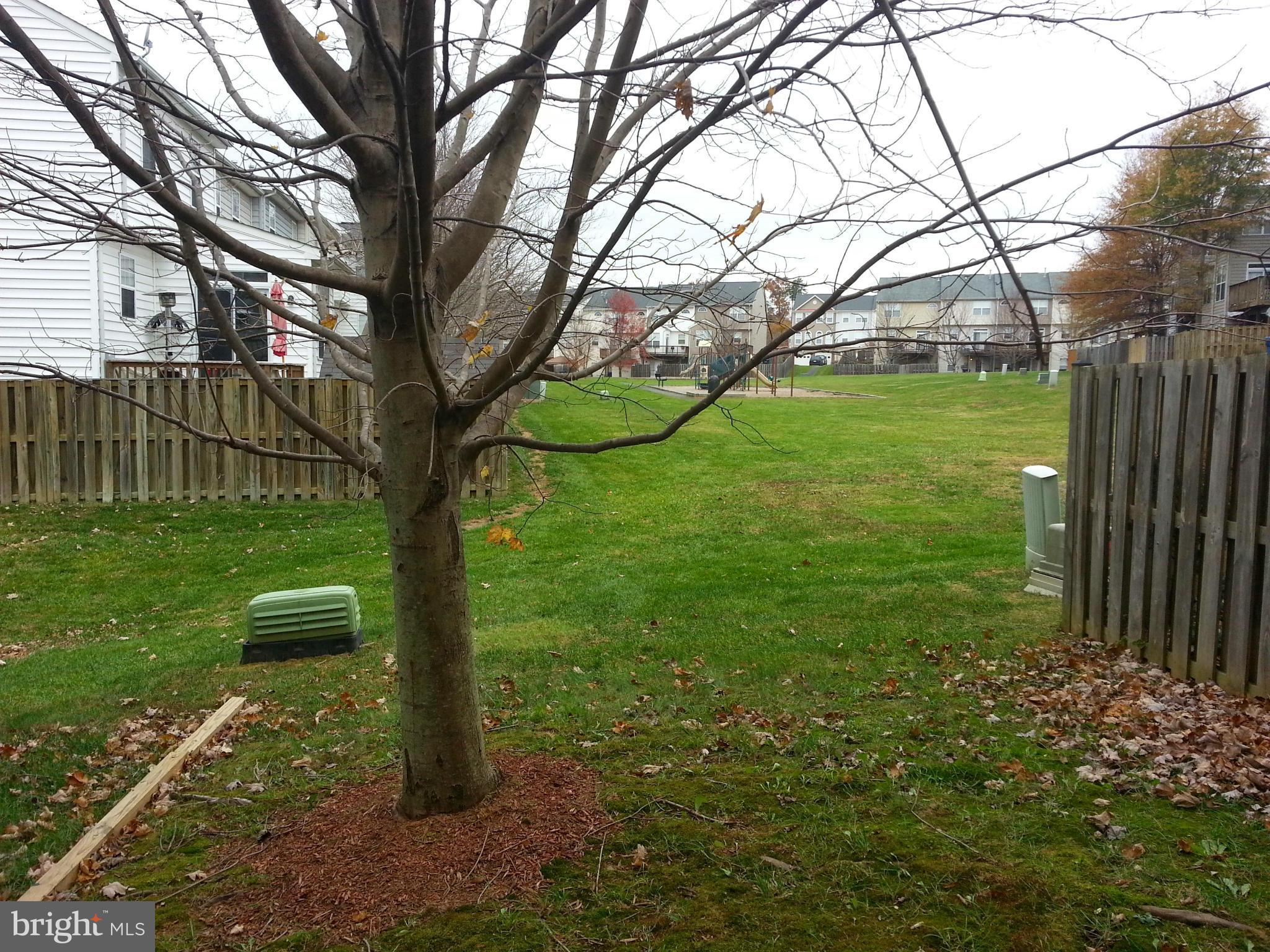 TRENTDALE - Residential Lease