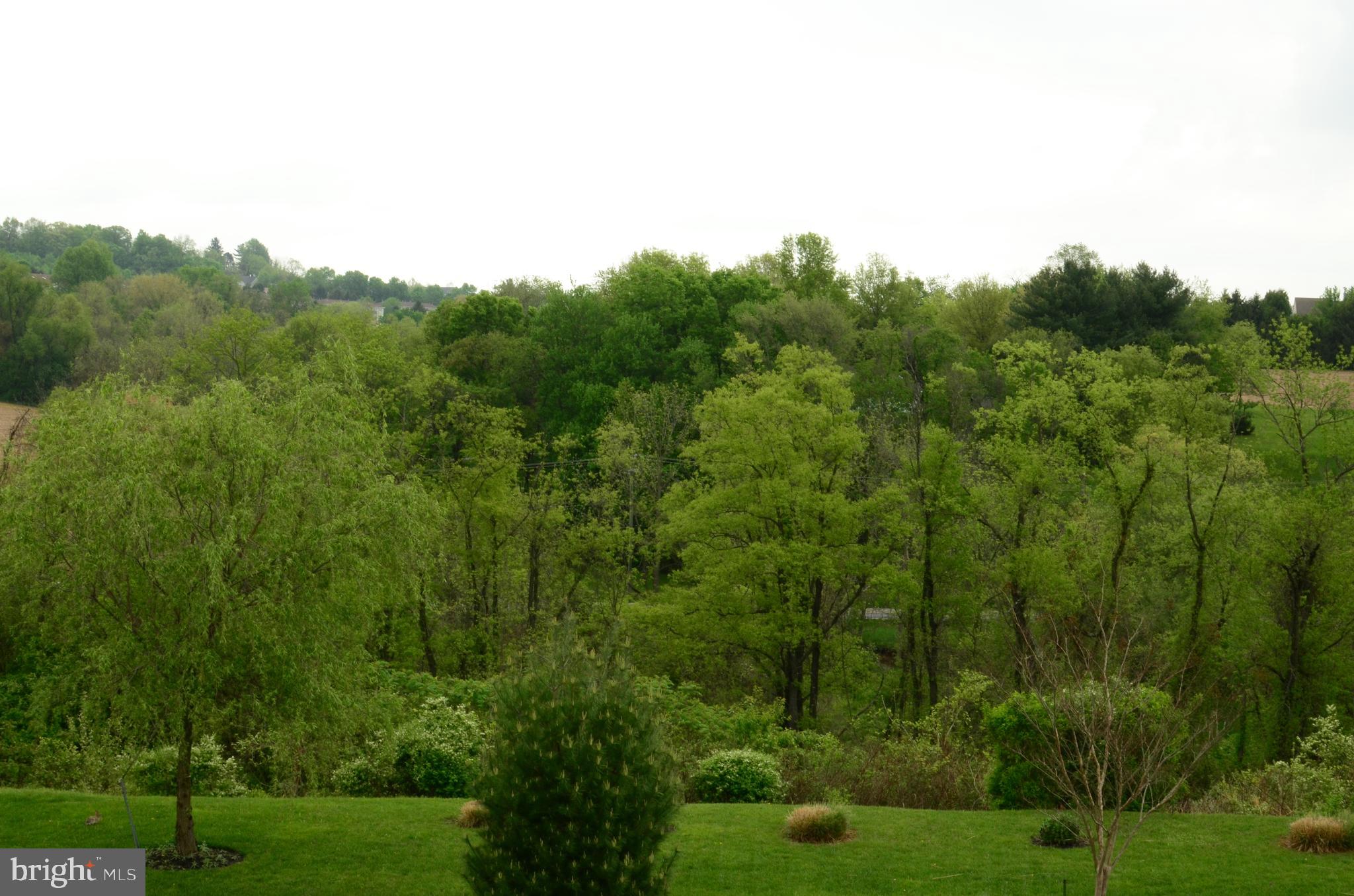 SPRINGWOOD - Residential